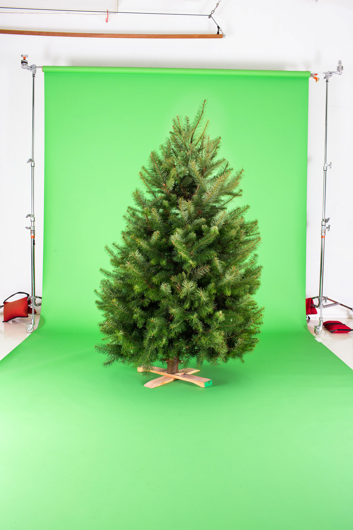 Fresh vs. Fake: Choosing the Right Christmas Tree