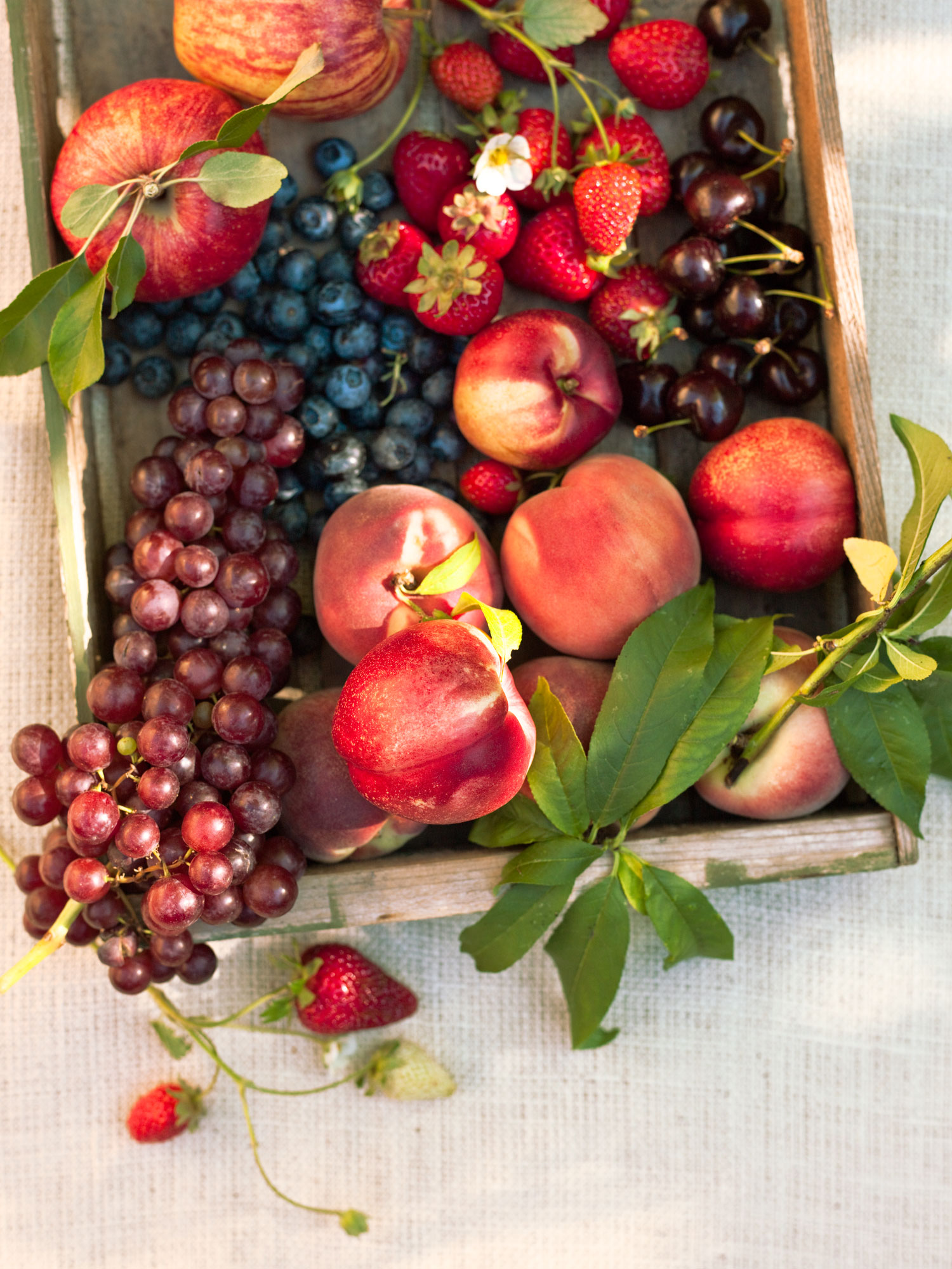 The Best Fruits to Plant in Cold Weather