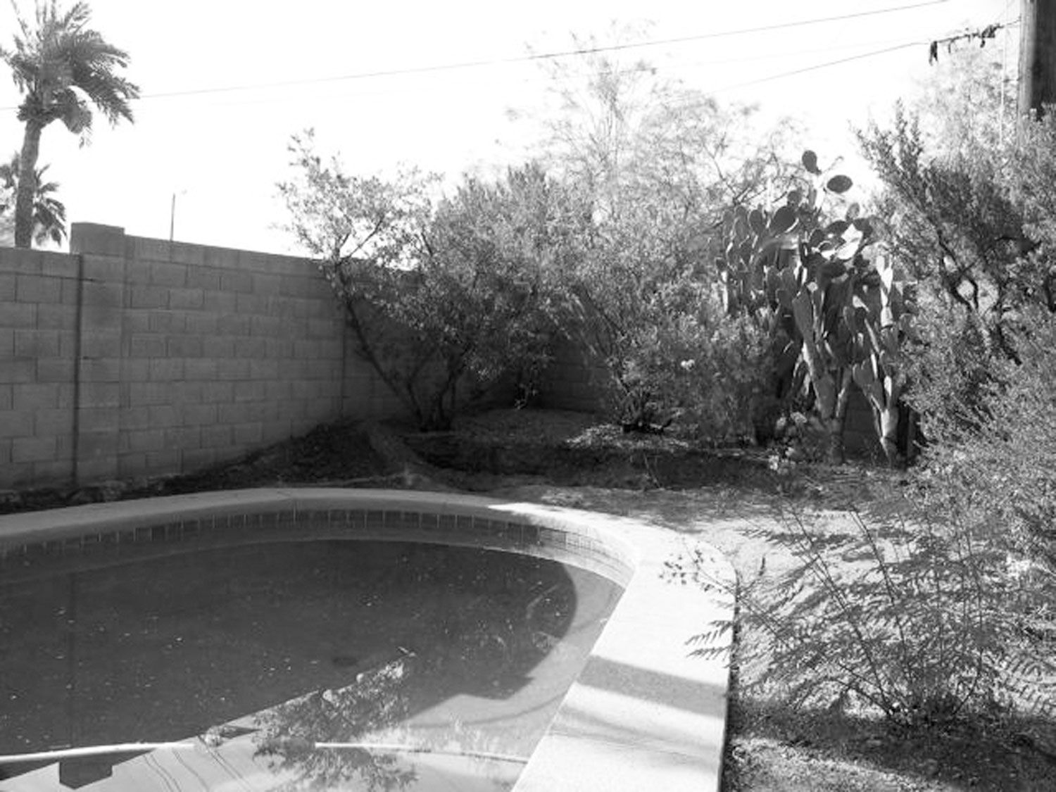 before-phoenix-1600-sq-ft-sun-drenched-paved-space