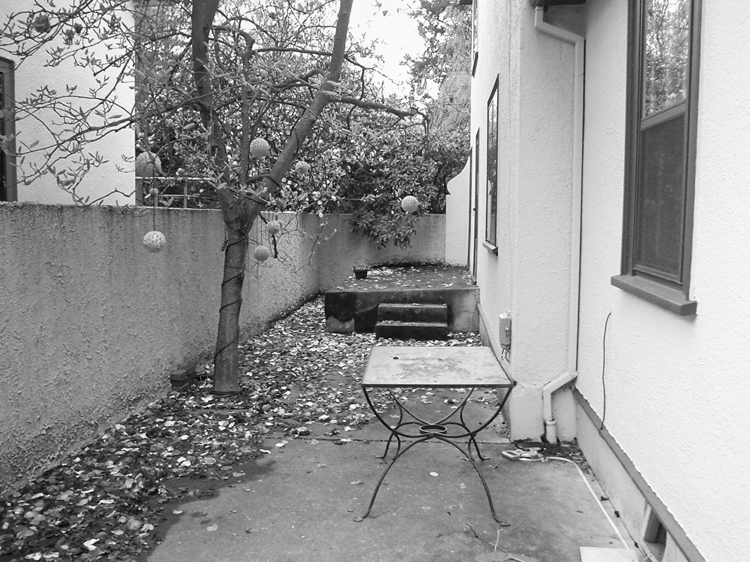 before-400-sq-ft-portland-alley