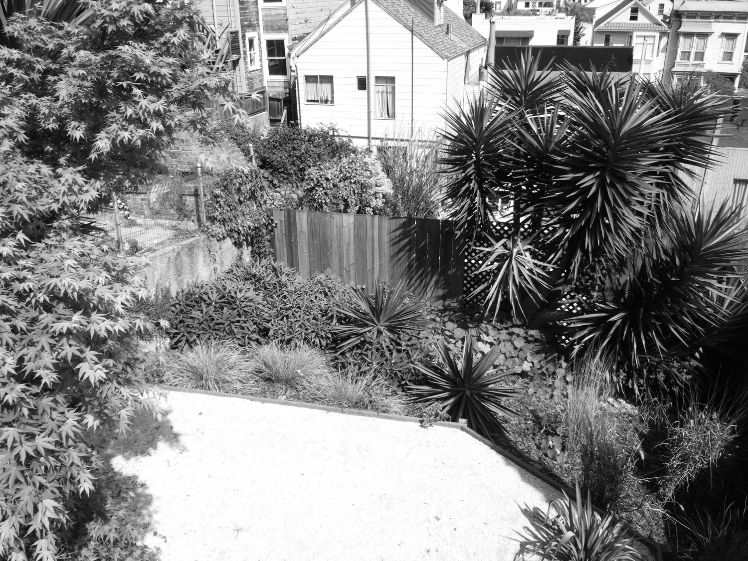 small-garden-before-san-francisco-1000-sq-ft-slope