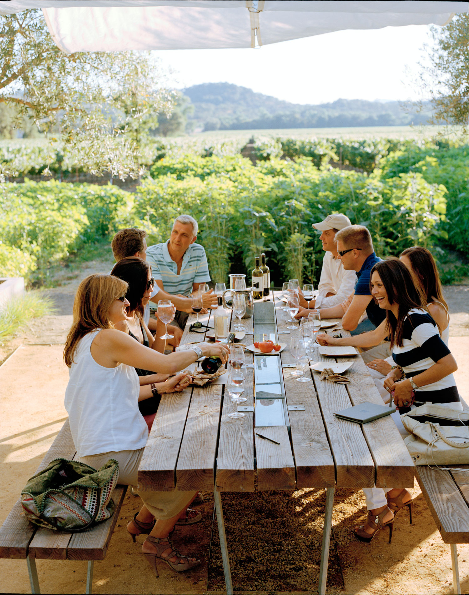 One Perfect Day in Geyserville, CA