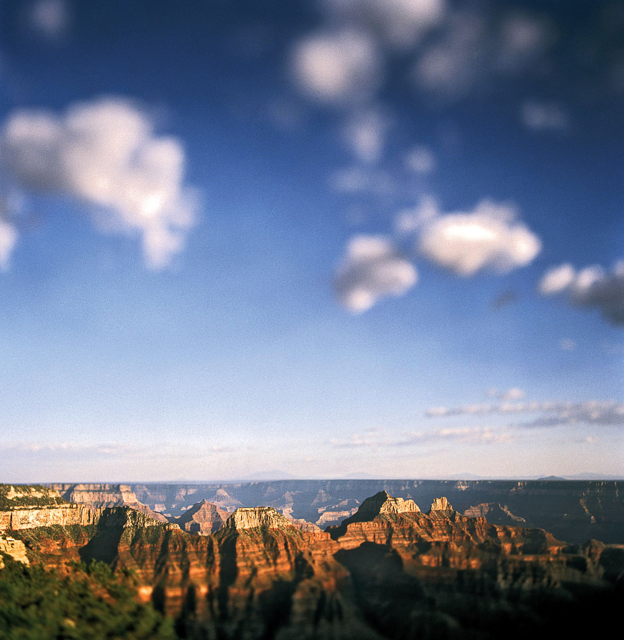 The Grand Canyon: A Whole New World