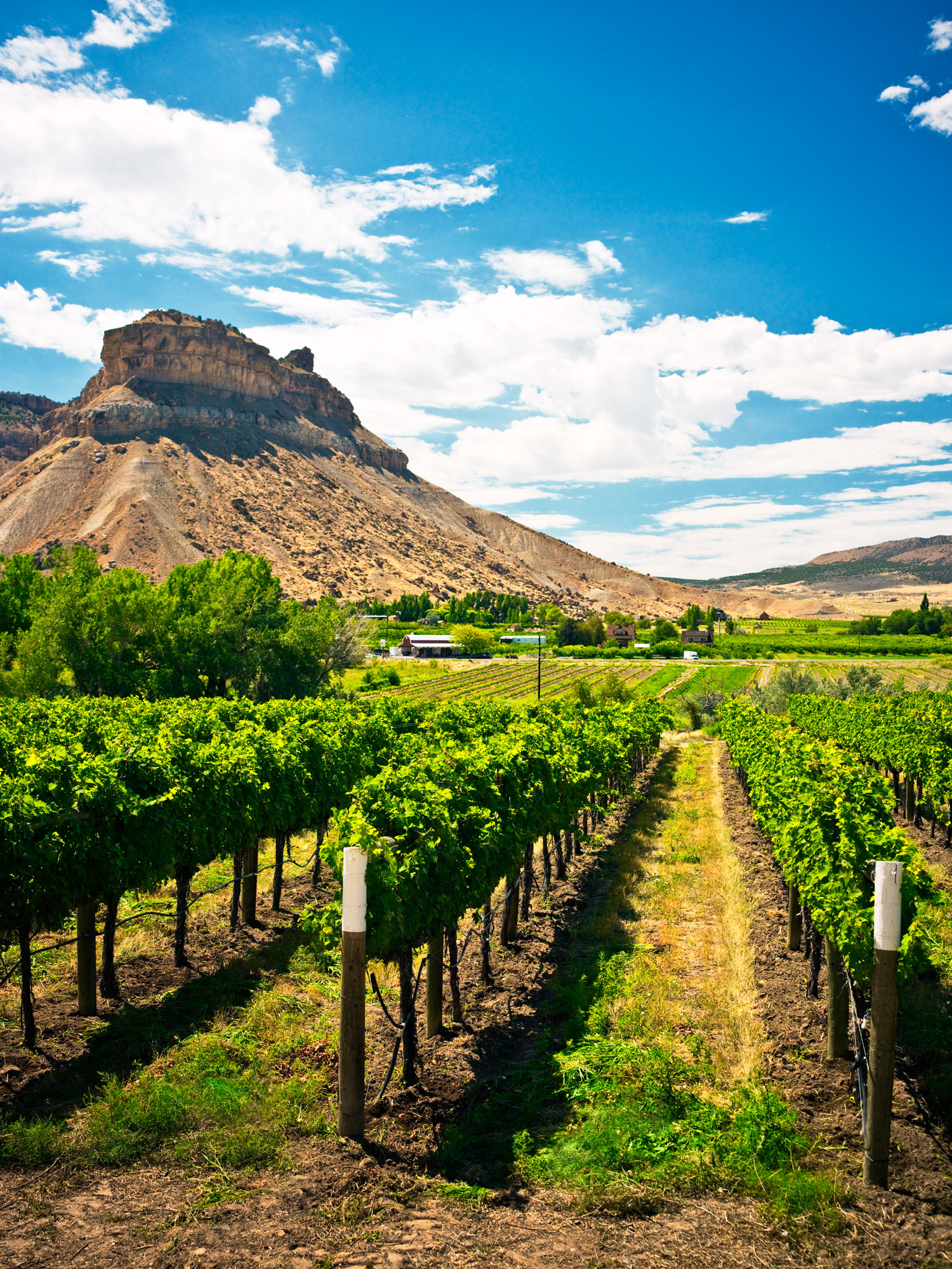 Weekend Guide to Grand Valley