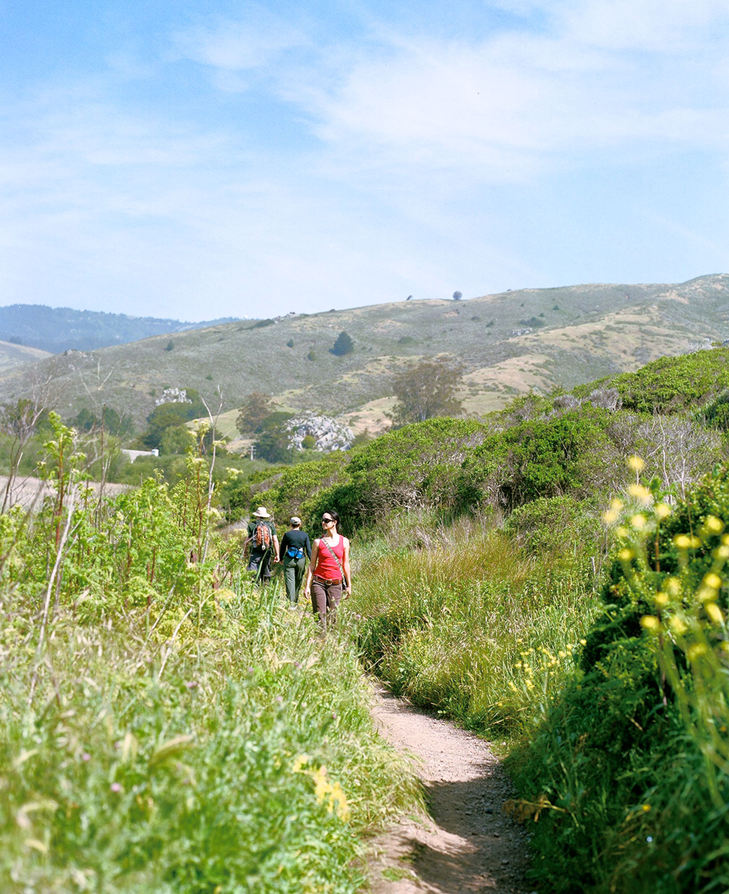 Marin Day Trip: Green Gulch Zen Center