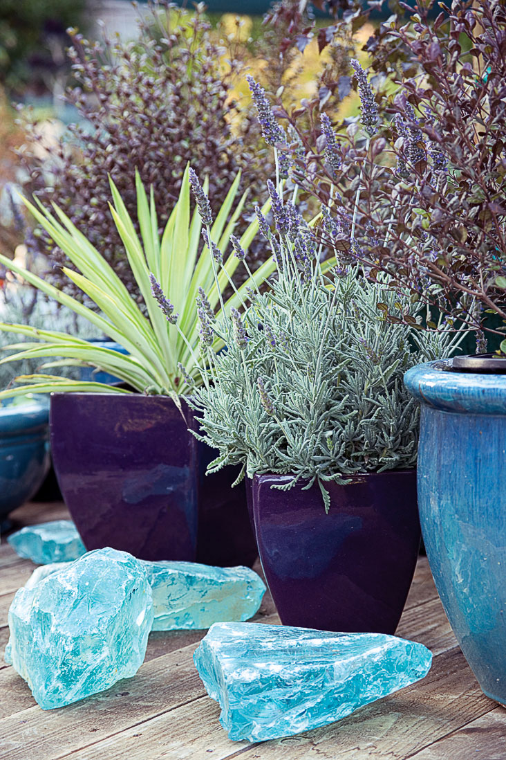 ice-some-potted-plants