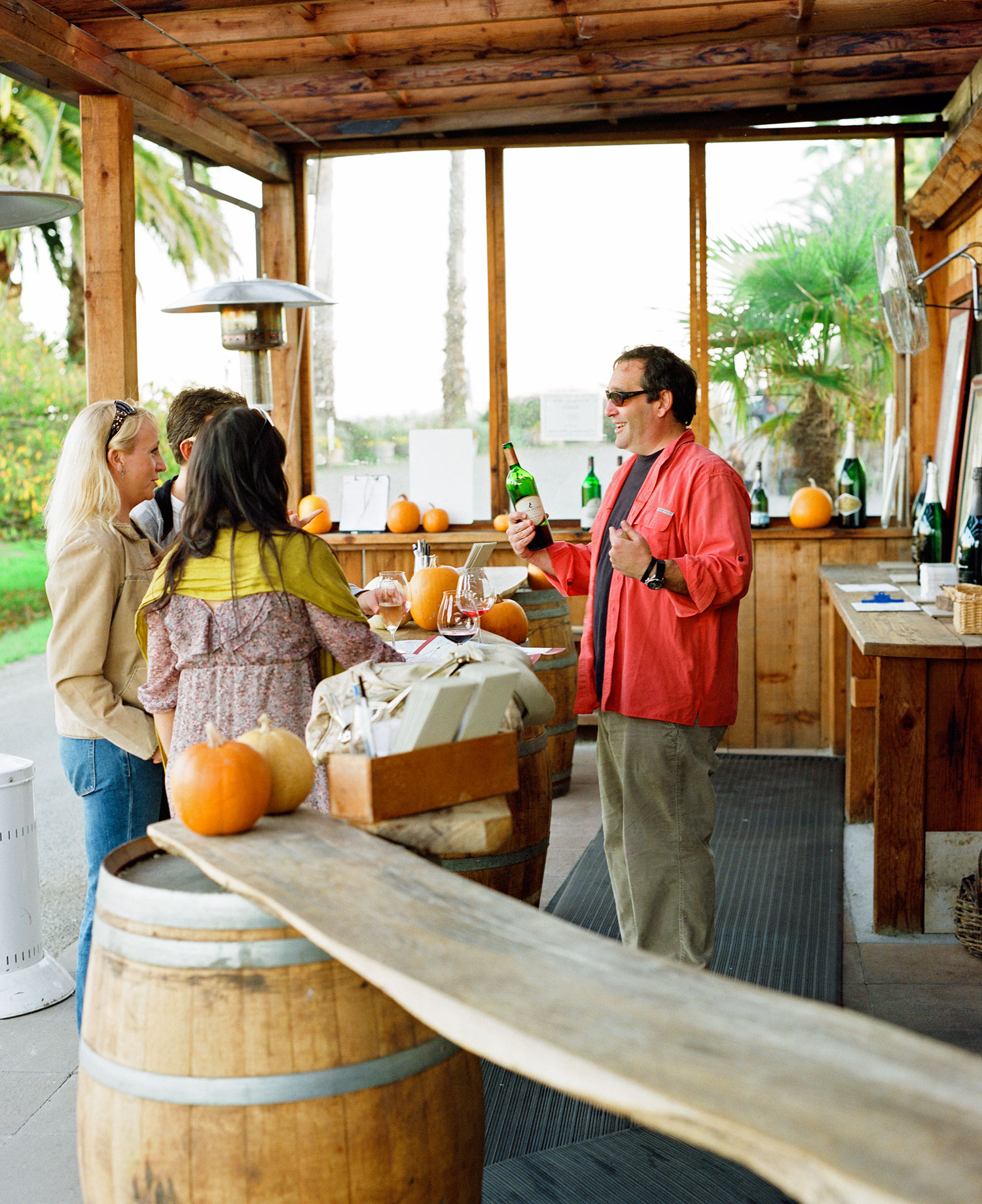 Sonoma County Day Trip: Sebastopol