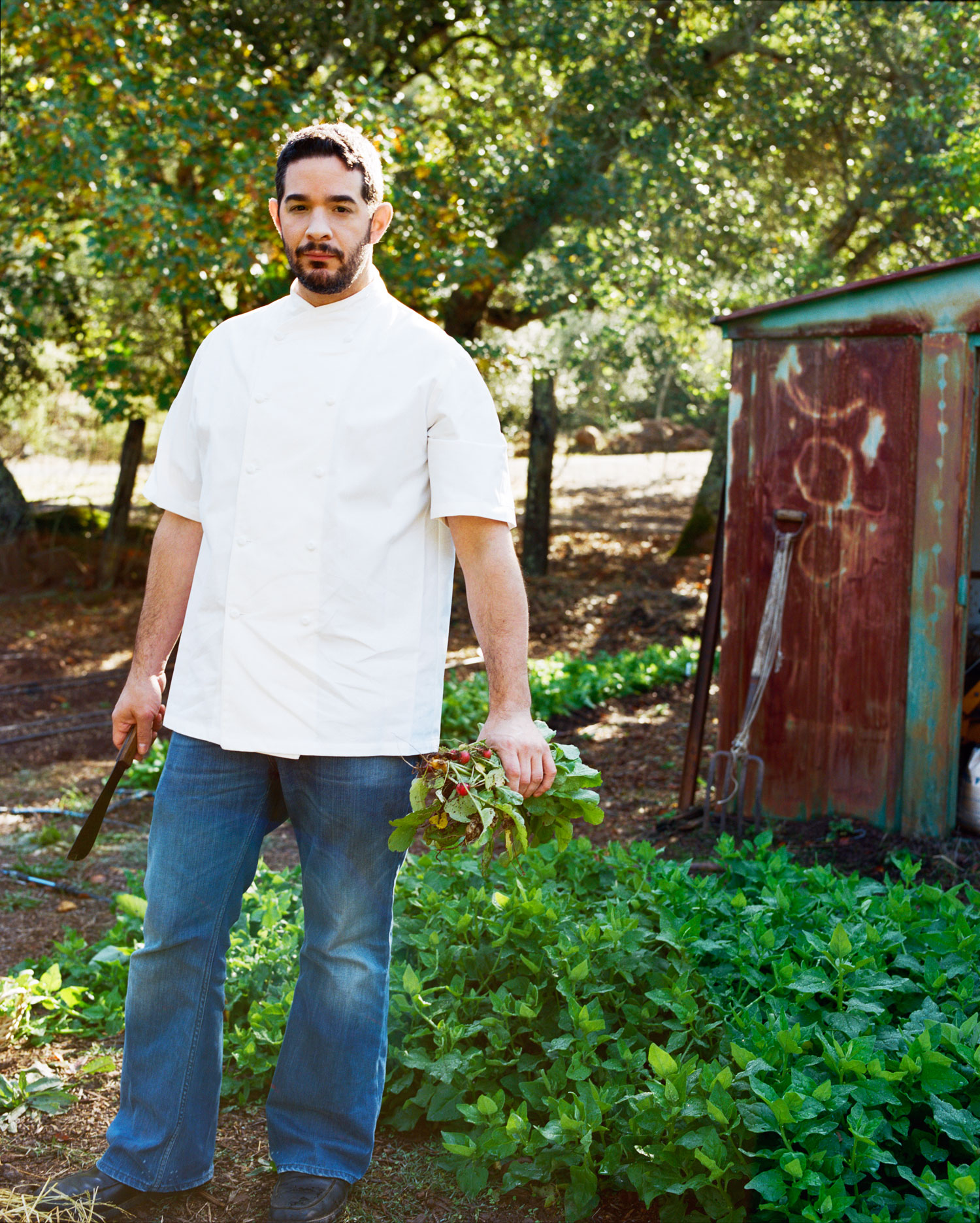 Recipes from the Vegetable King