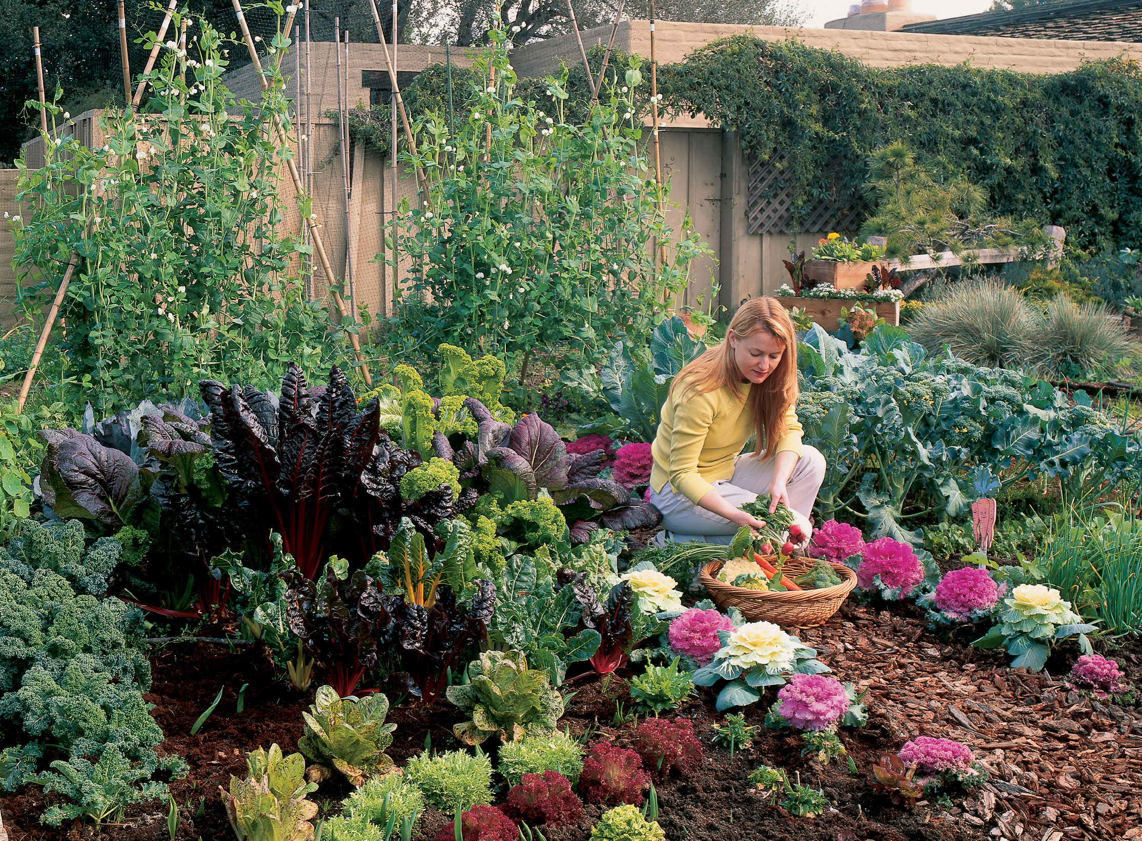 Your Cool-Season Kitchen Garden - Sunset Magazine