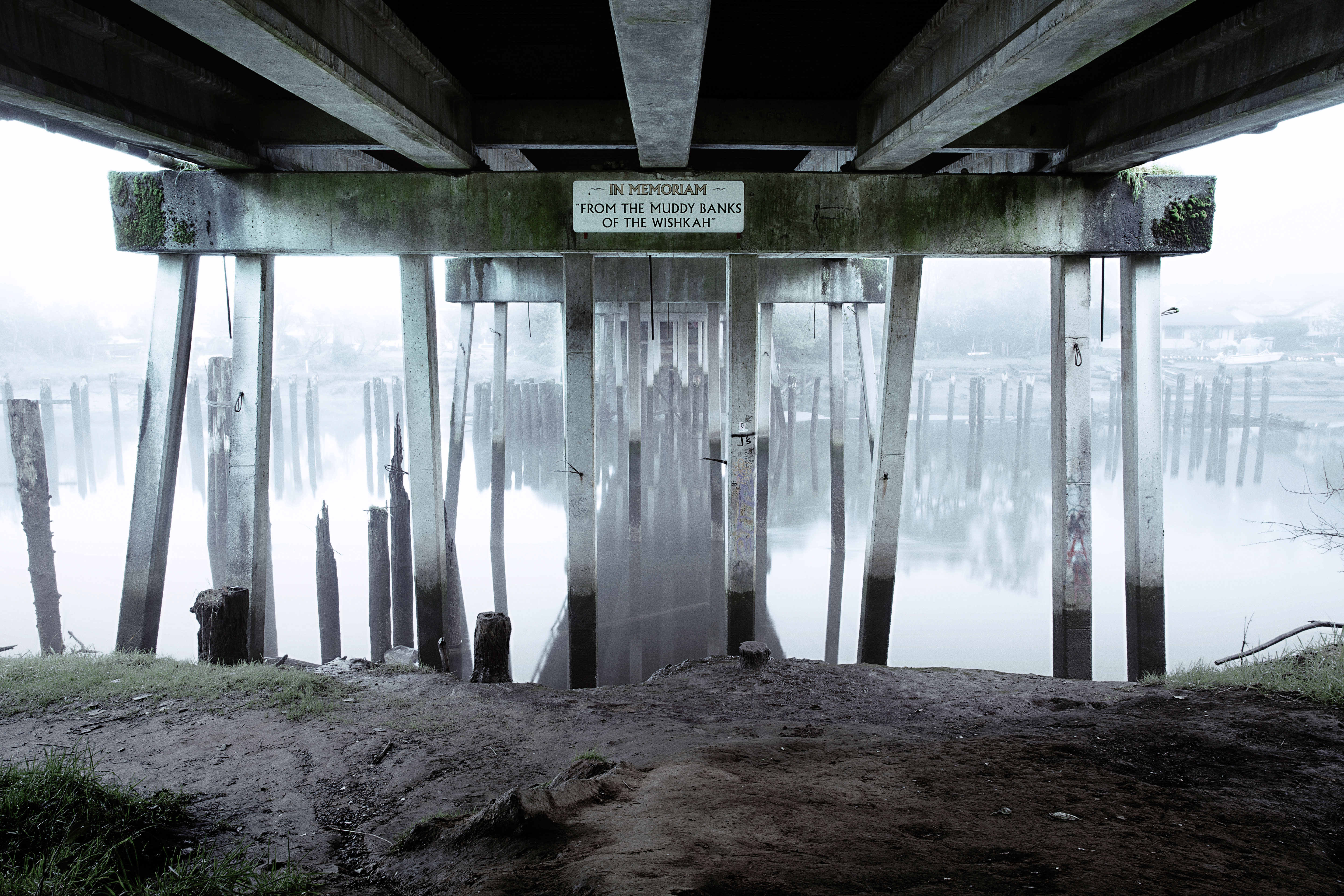 kurt-cobain-abderdeen-wa