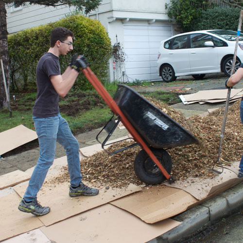 How to Remove a Lawn
