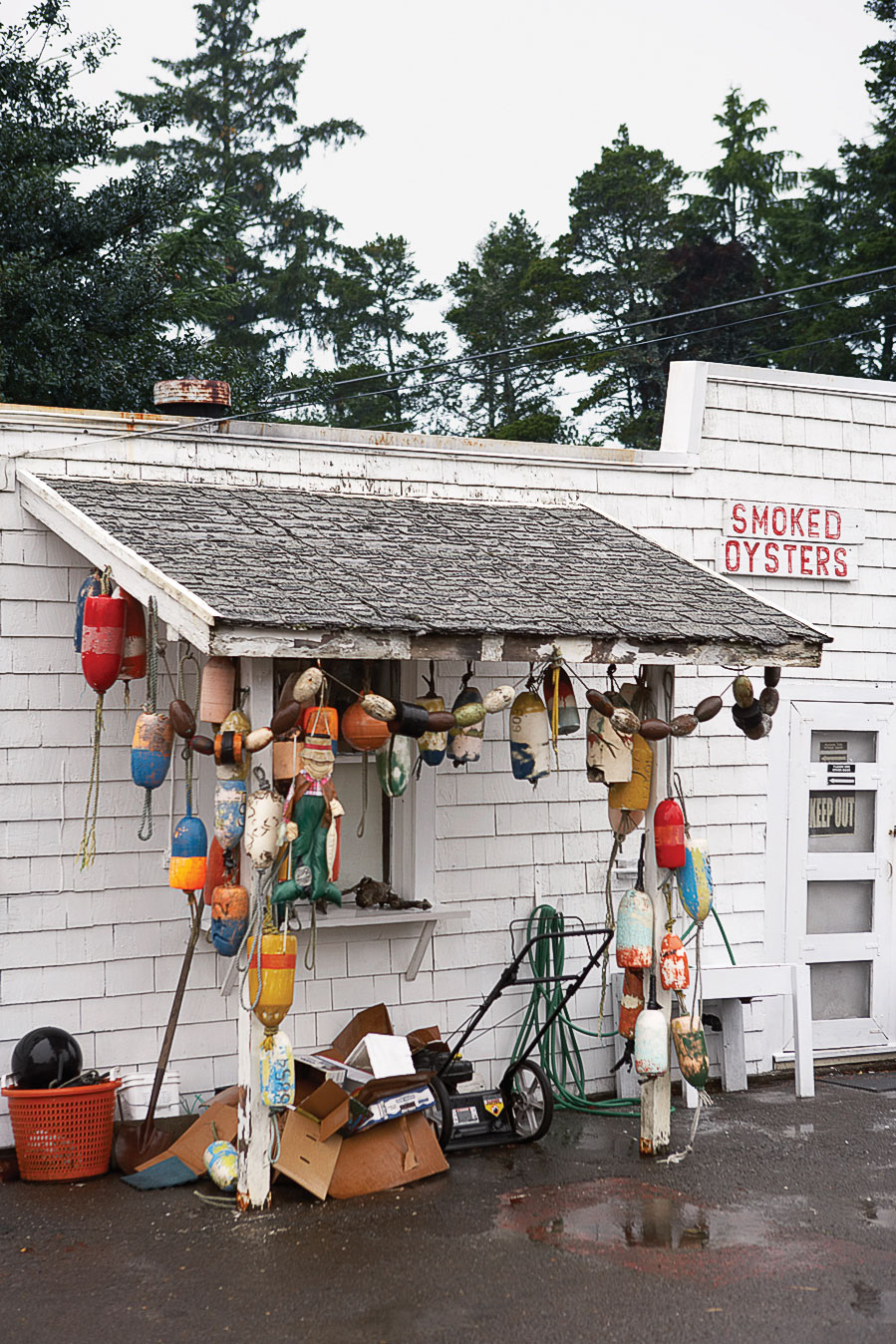 sample-the-best-of-land-and-sea