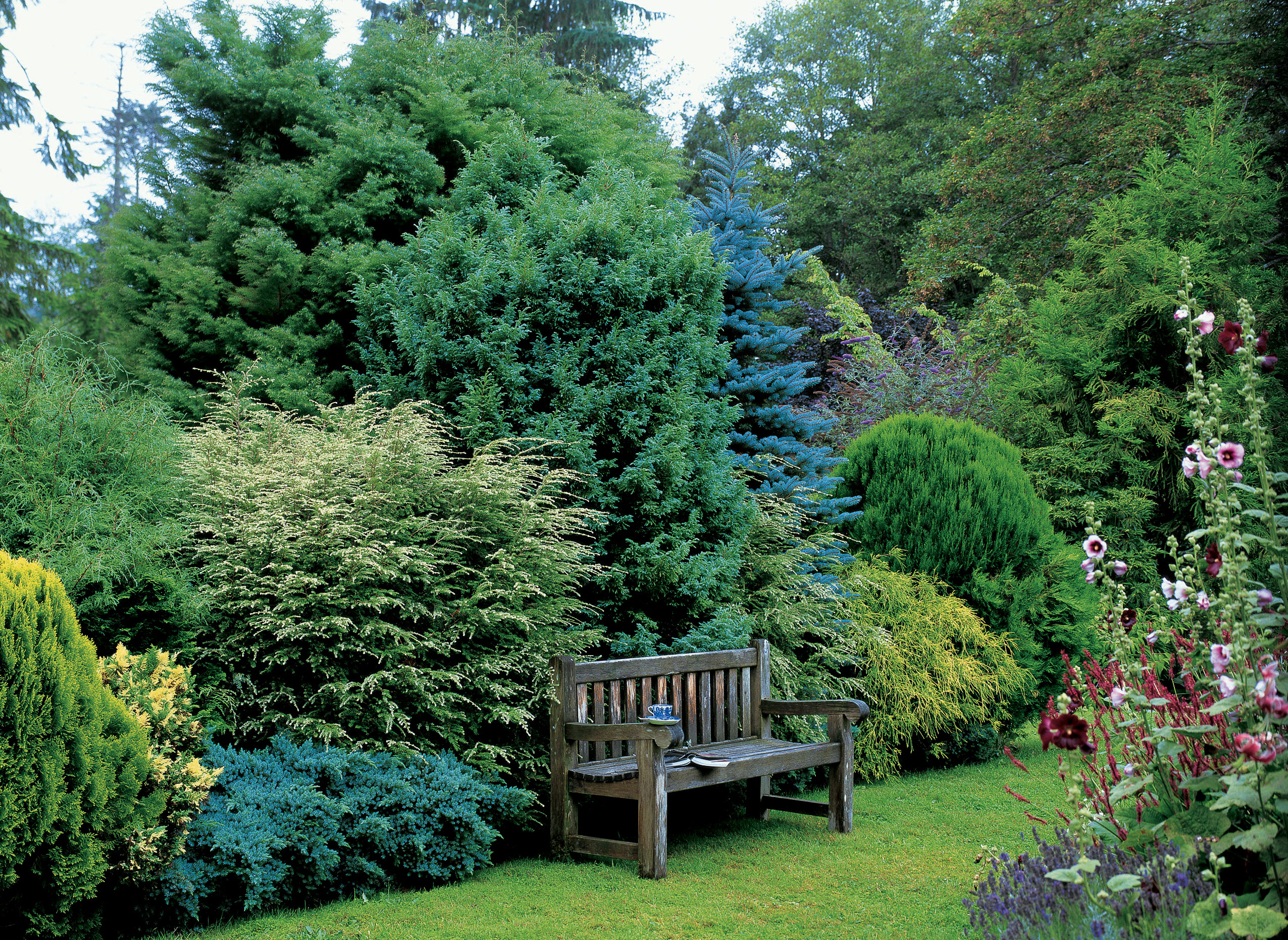 Weave a Leafy Tapestry