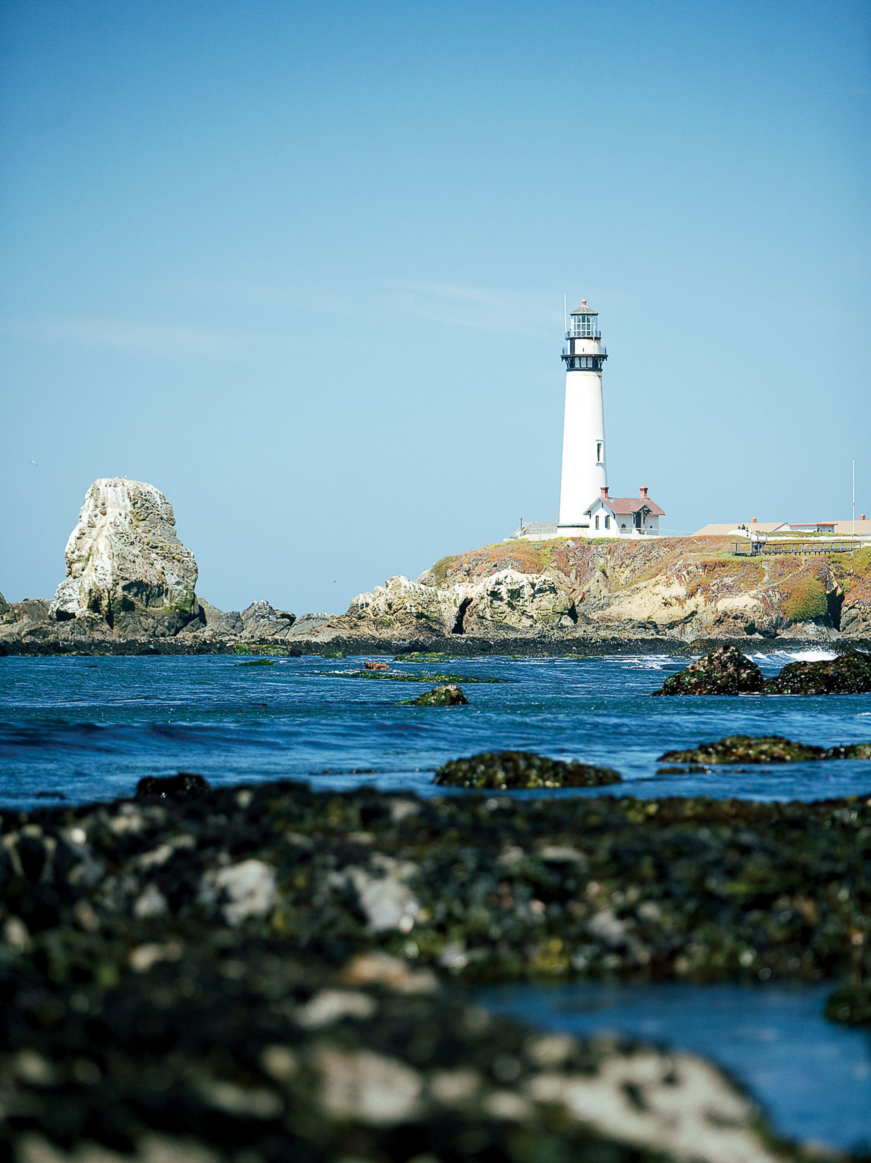 tour-the-coast-from-half-moon-bay-to-santa-cruz-ca