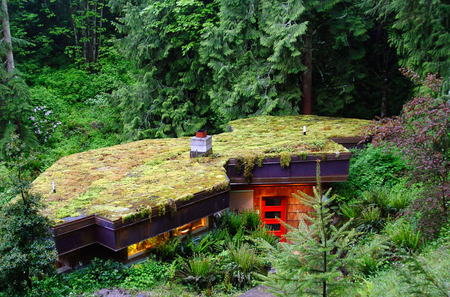 How to Plant a Roof Garden