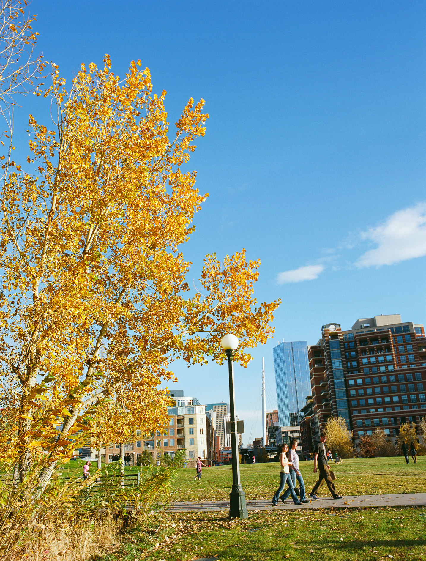 Local’s Guide to Denver