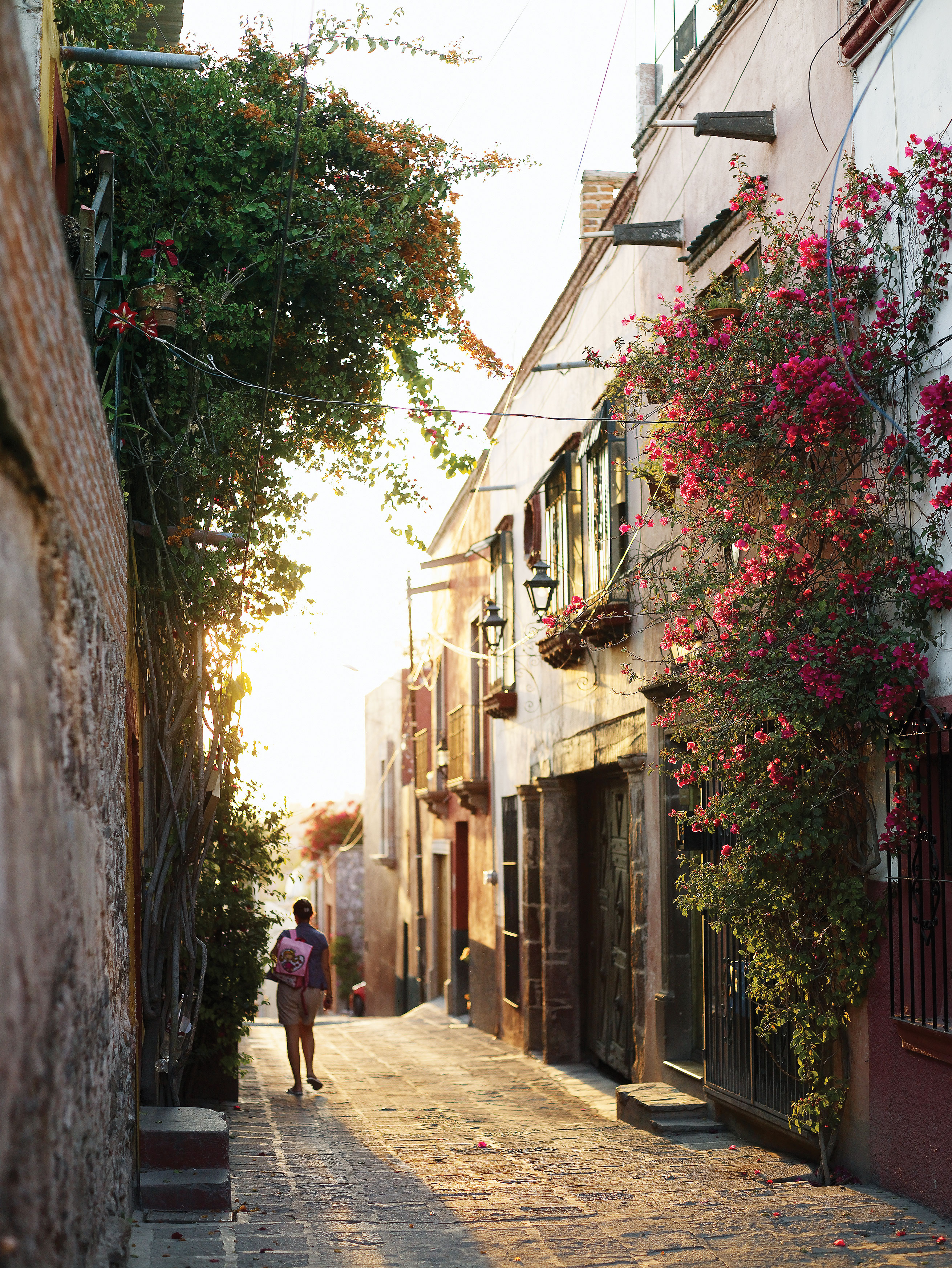 Fall in Love with Mexico’s San Miguel