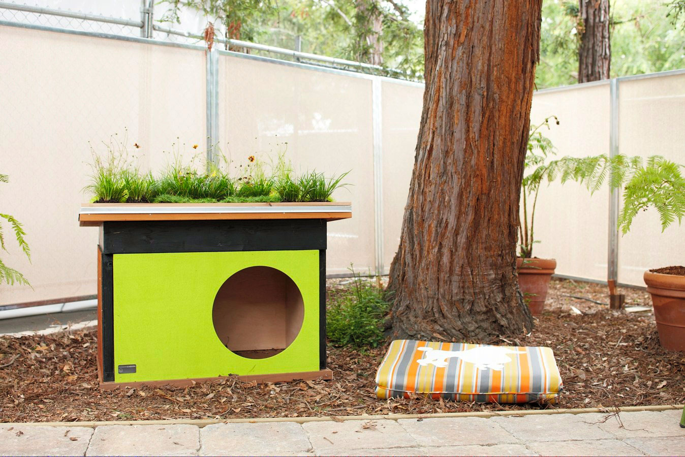 modern-doghouse