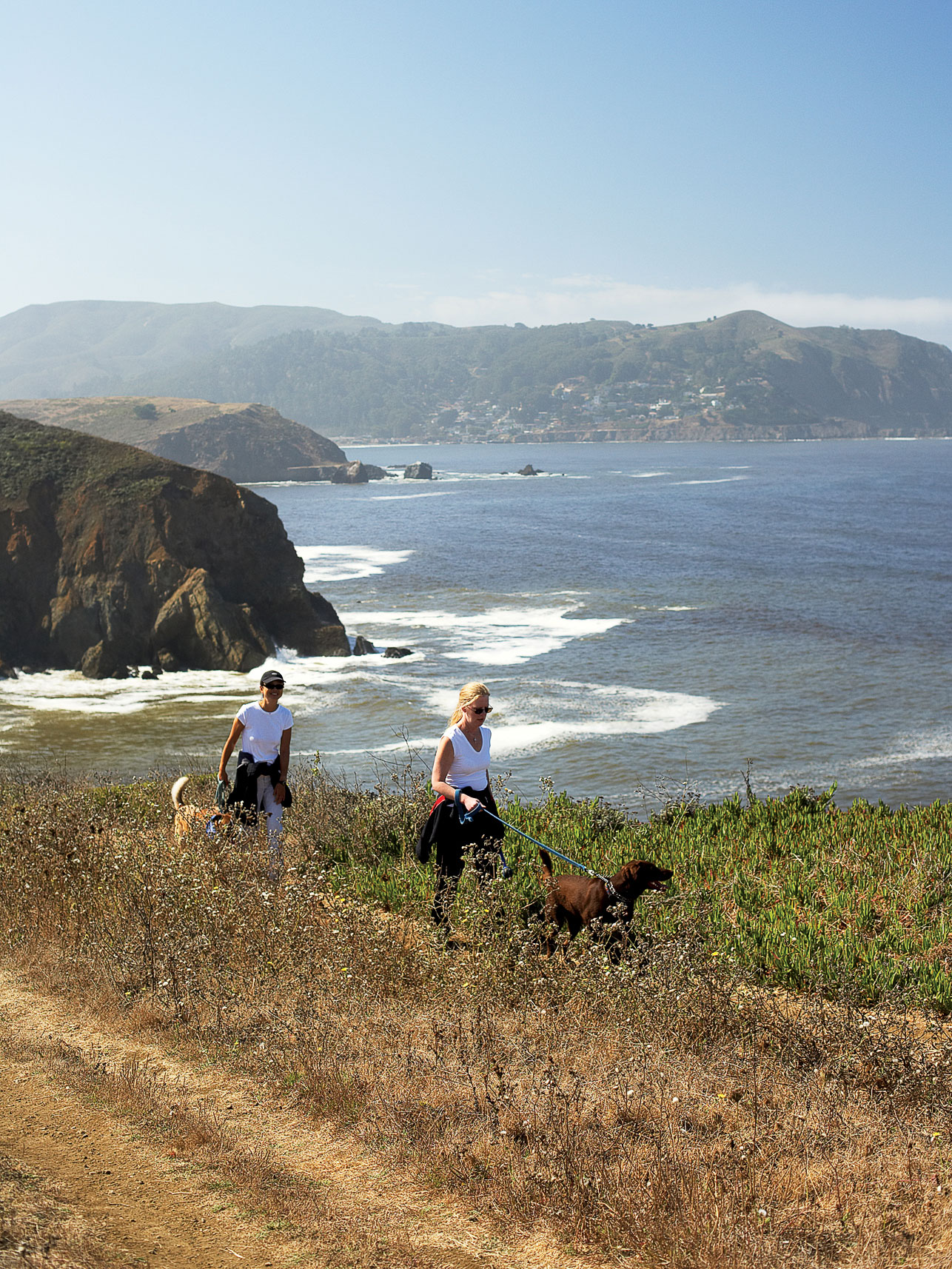 Laid-Back in Pacifica