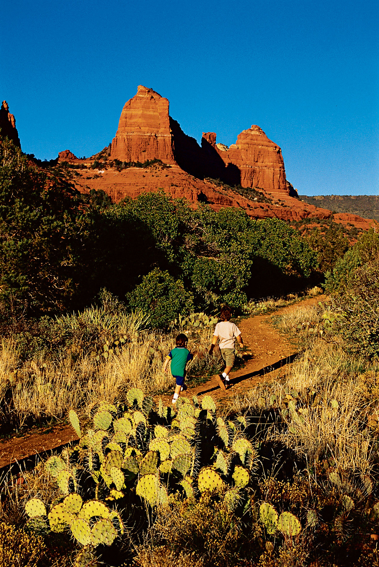 Savoring Sedona