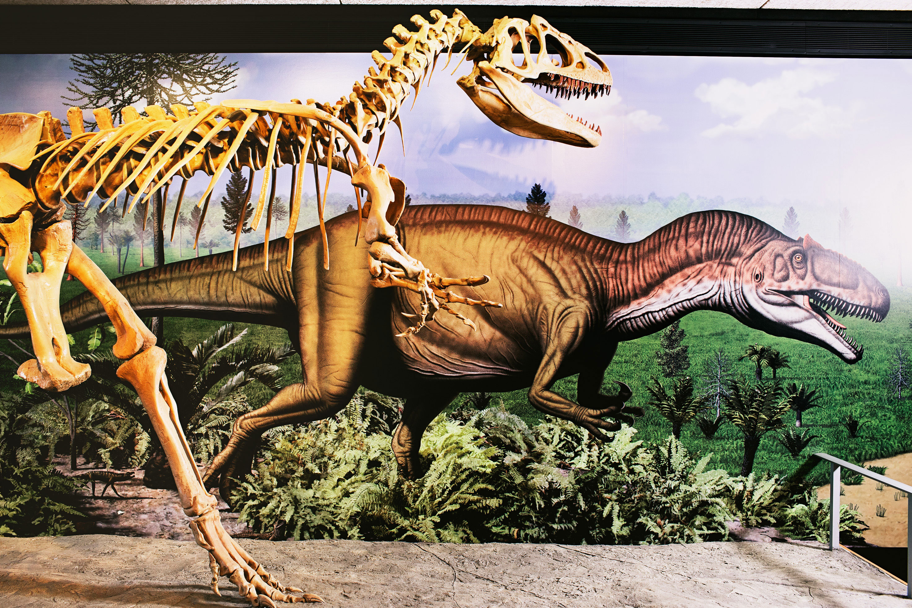 Utah Road Trip: Dino Drive