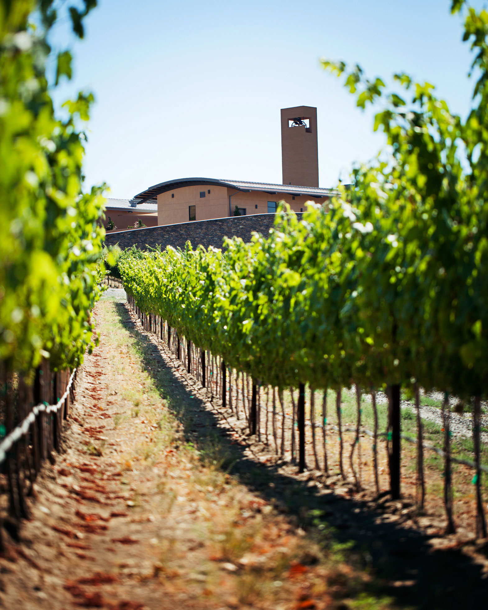 Northwest Road Trip: The Ale and Wine Trail