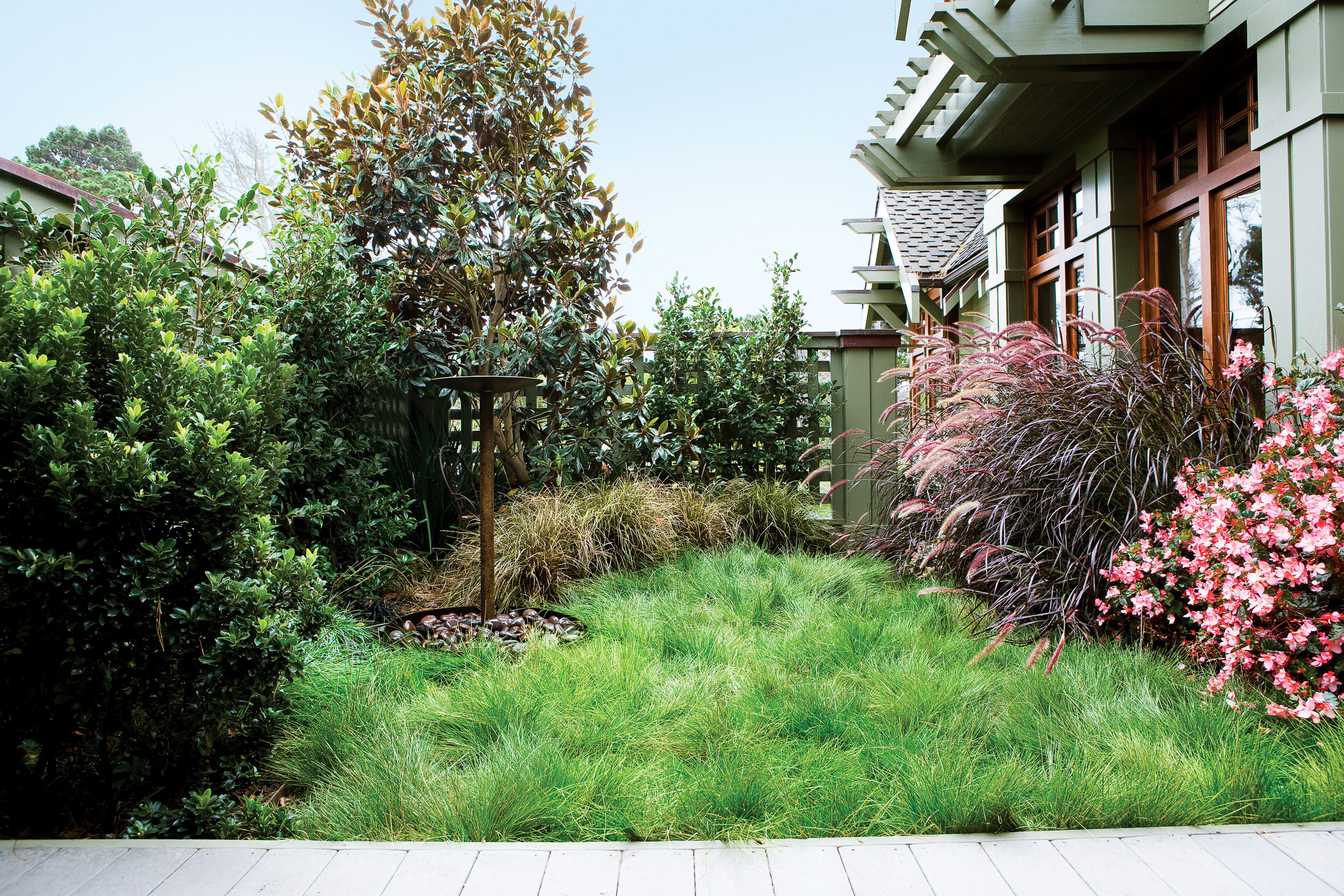 Plant a No-Mow Lawn - Sunset Magazine - Sunset Magazine