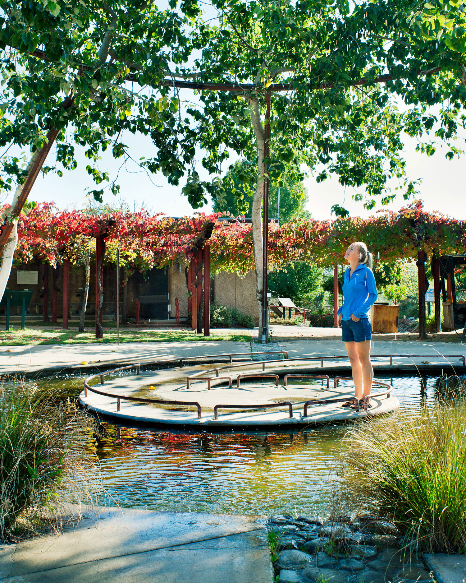 One Perfect Day in Hopland, CA