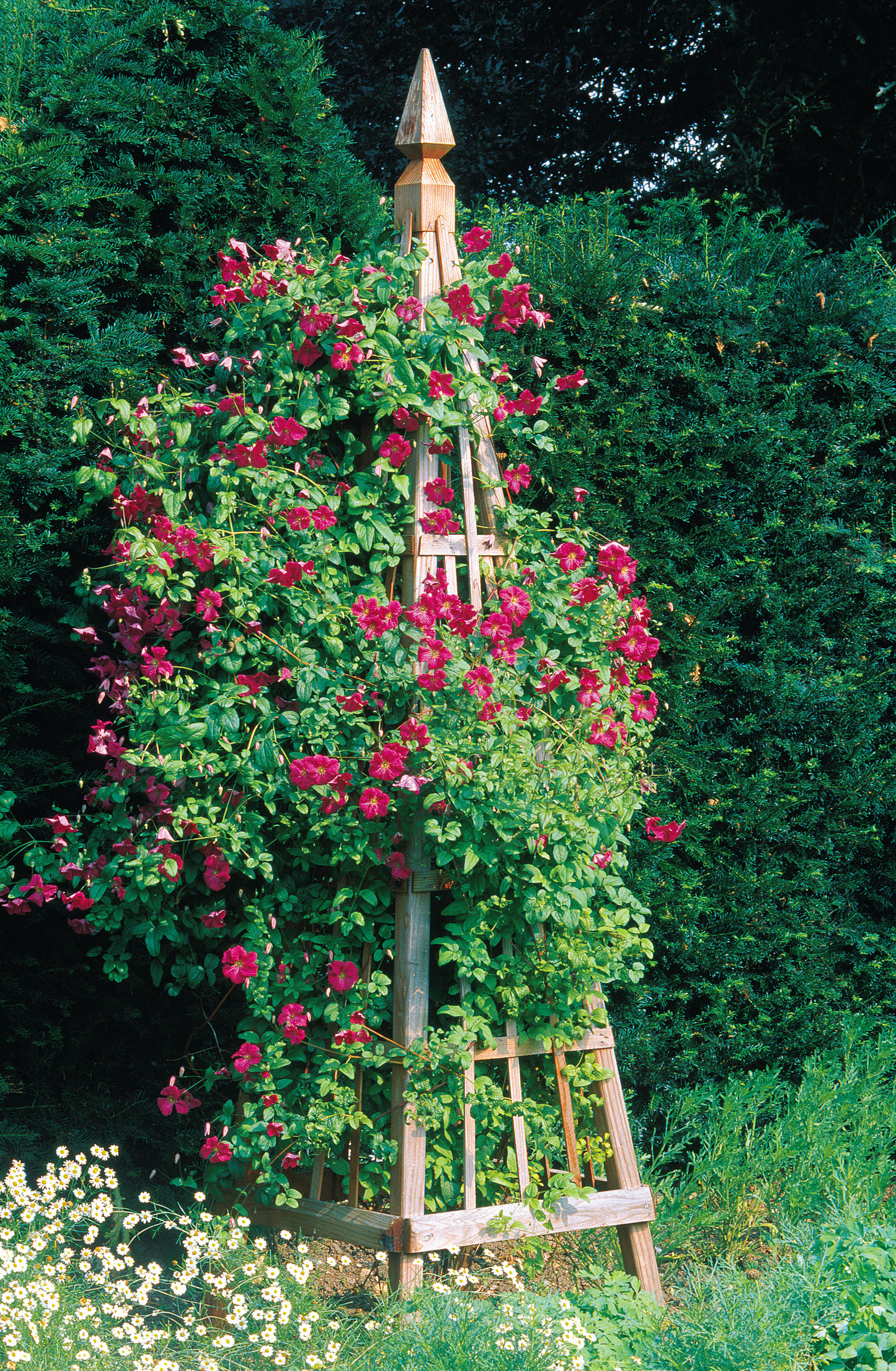 Make Your Own Garden Obelisk