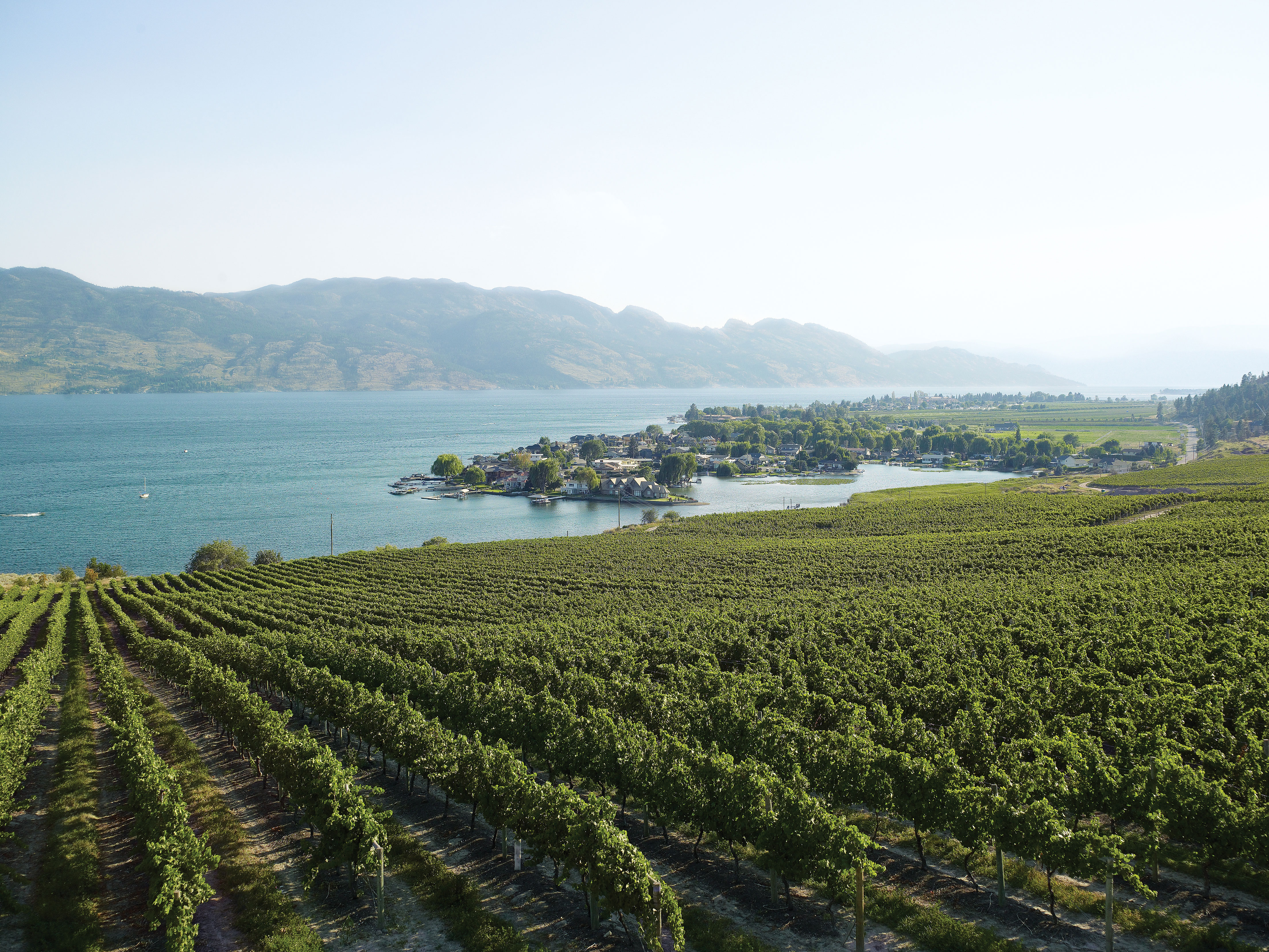 The view from Quails' Gate Estate Winery, in Kelowna, on a Pacific Northwest trip in the fall