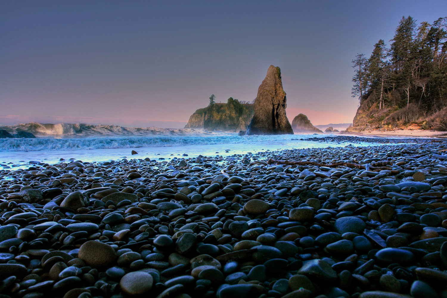 Top Campgrounds in Olympic National Park