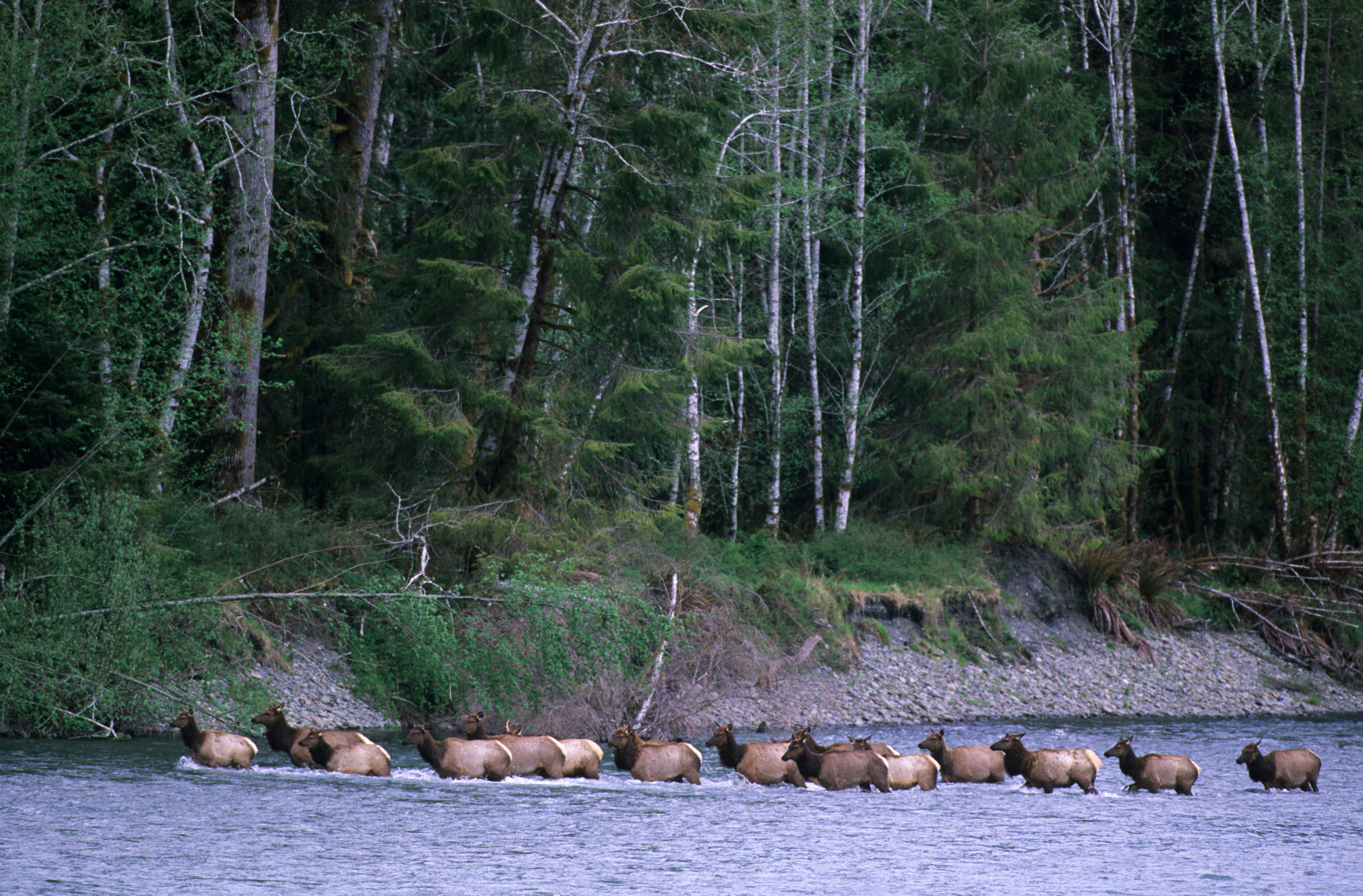 best-capital-of-green