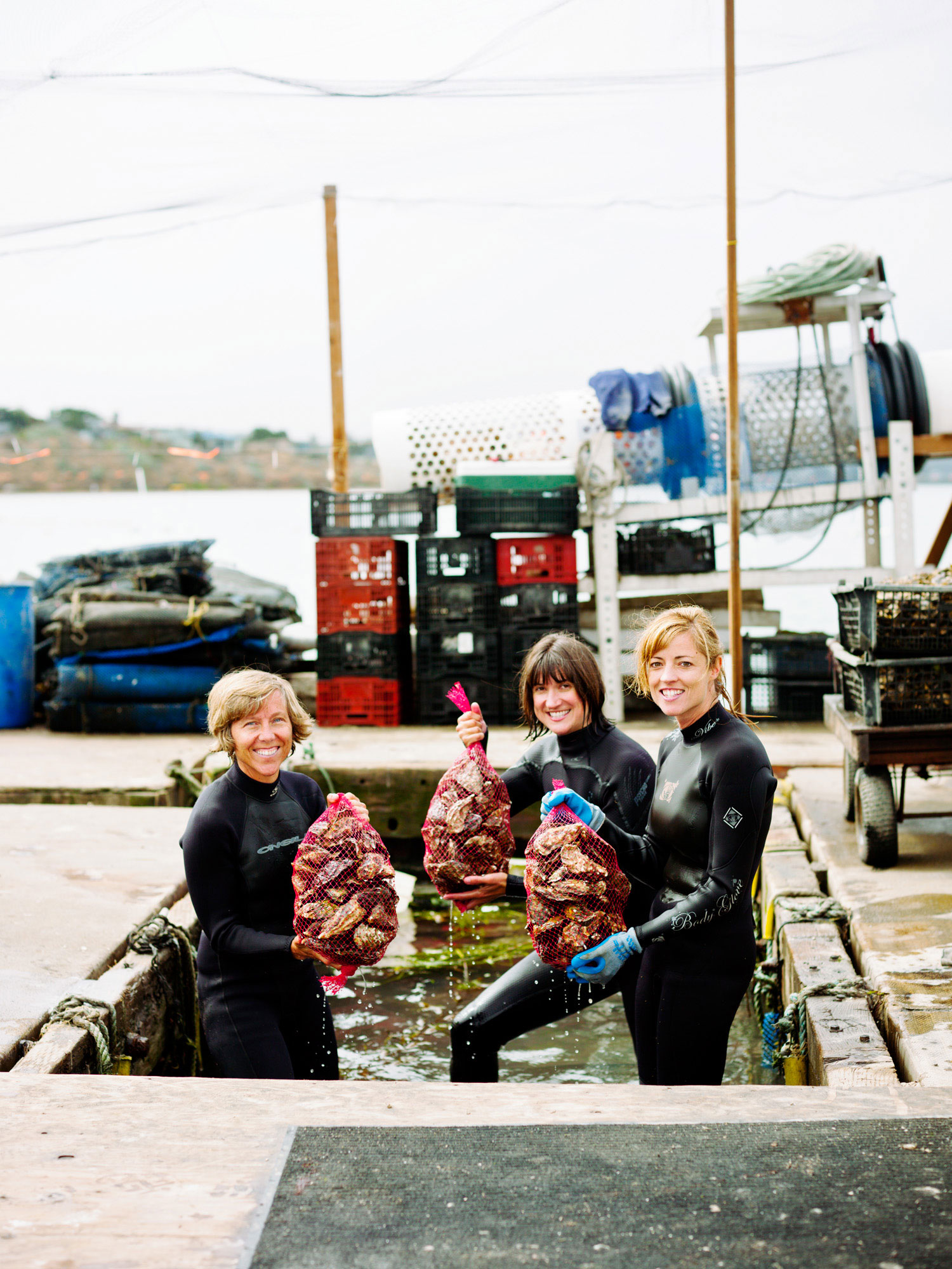 farming-oysters