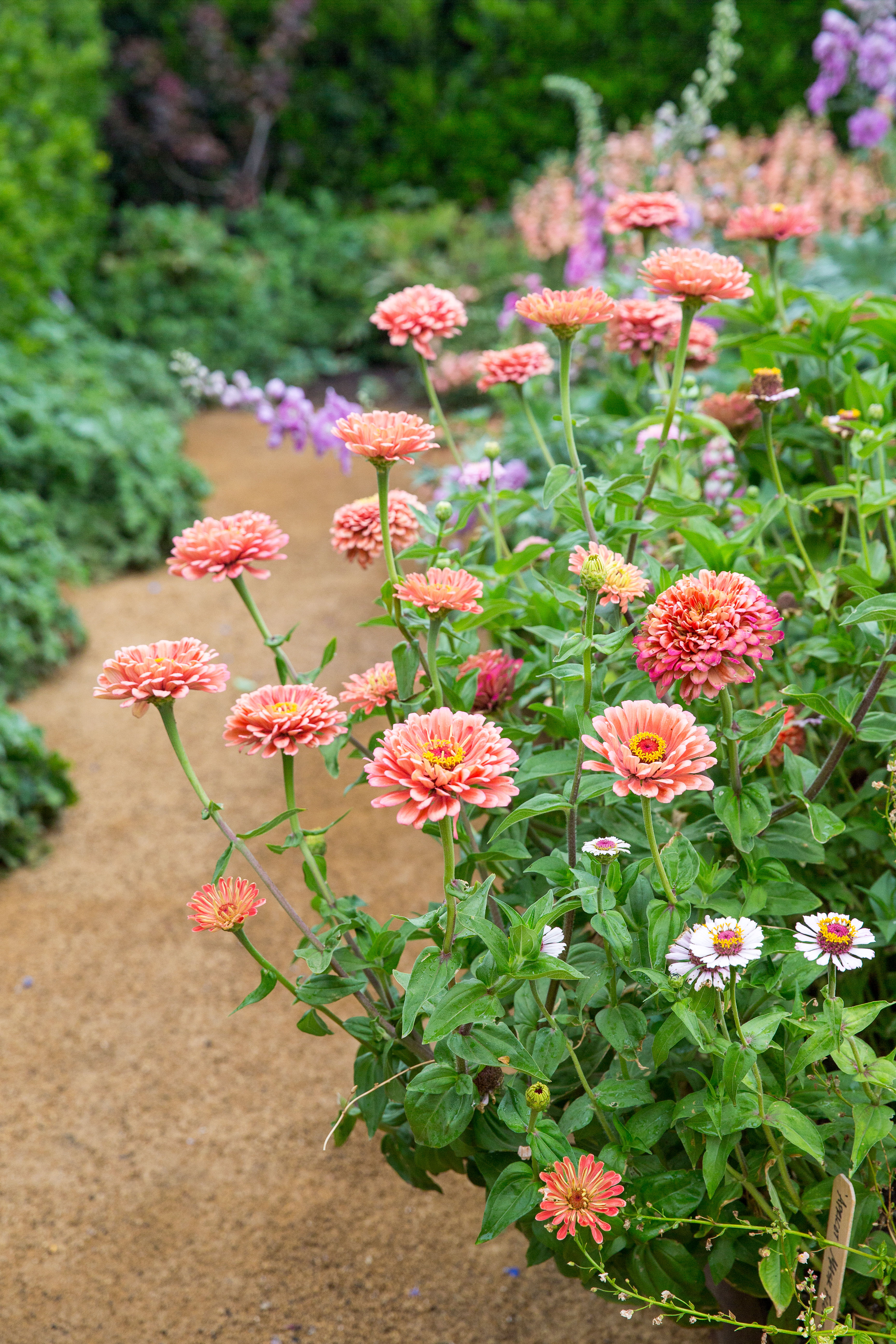10 Great Flower Garden Design Tips