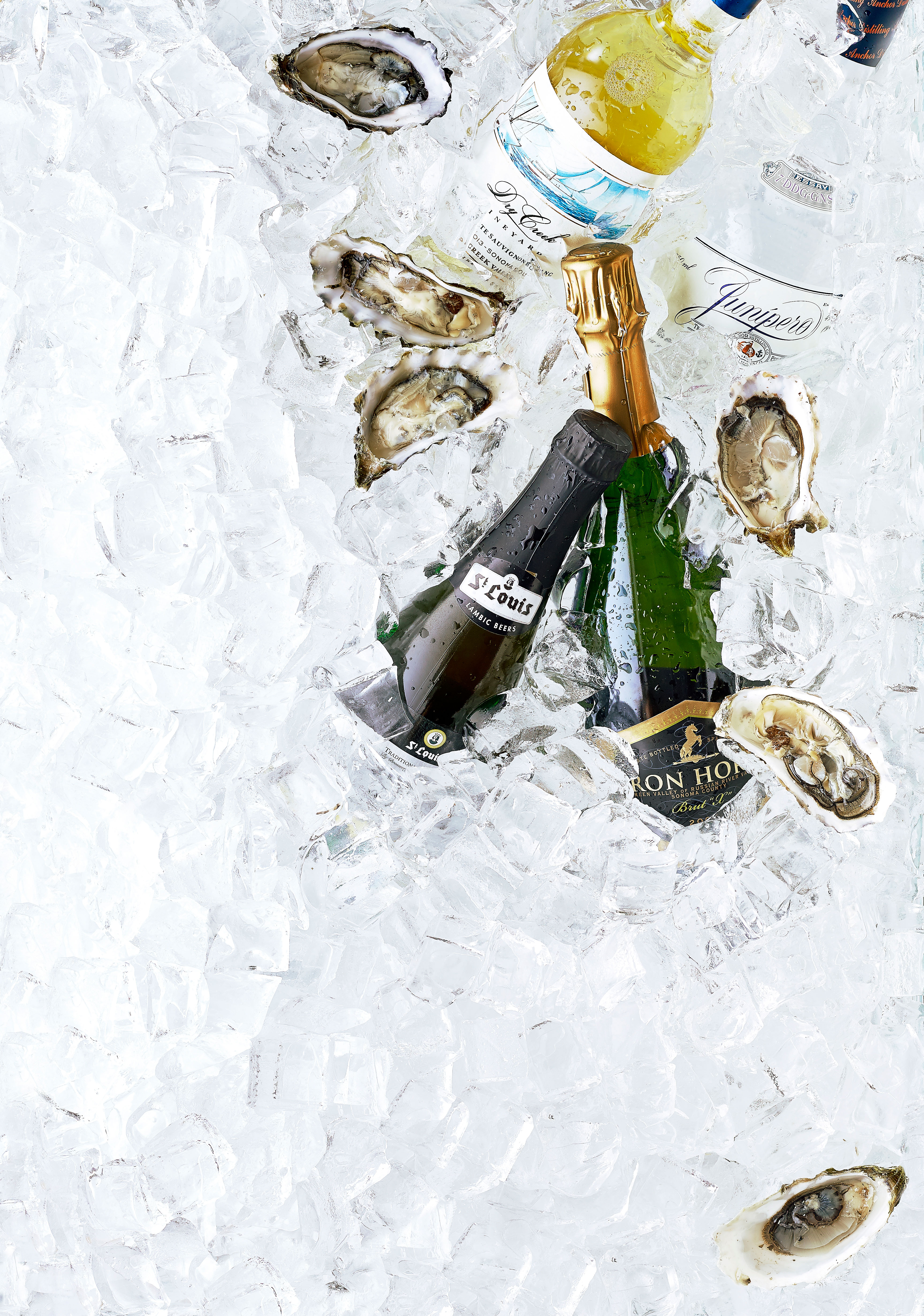 13 Best Drinks to Pair with Oysters