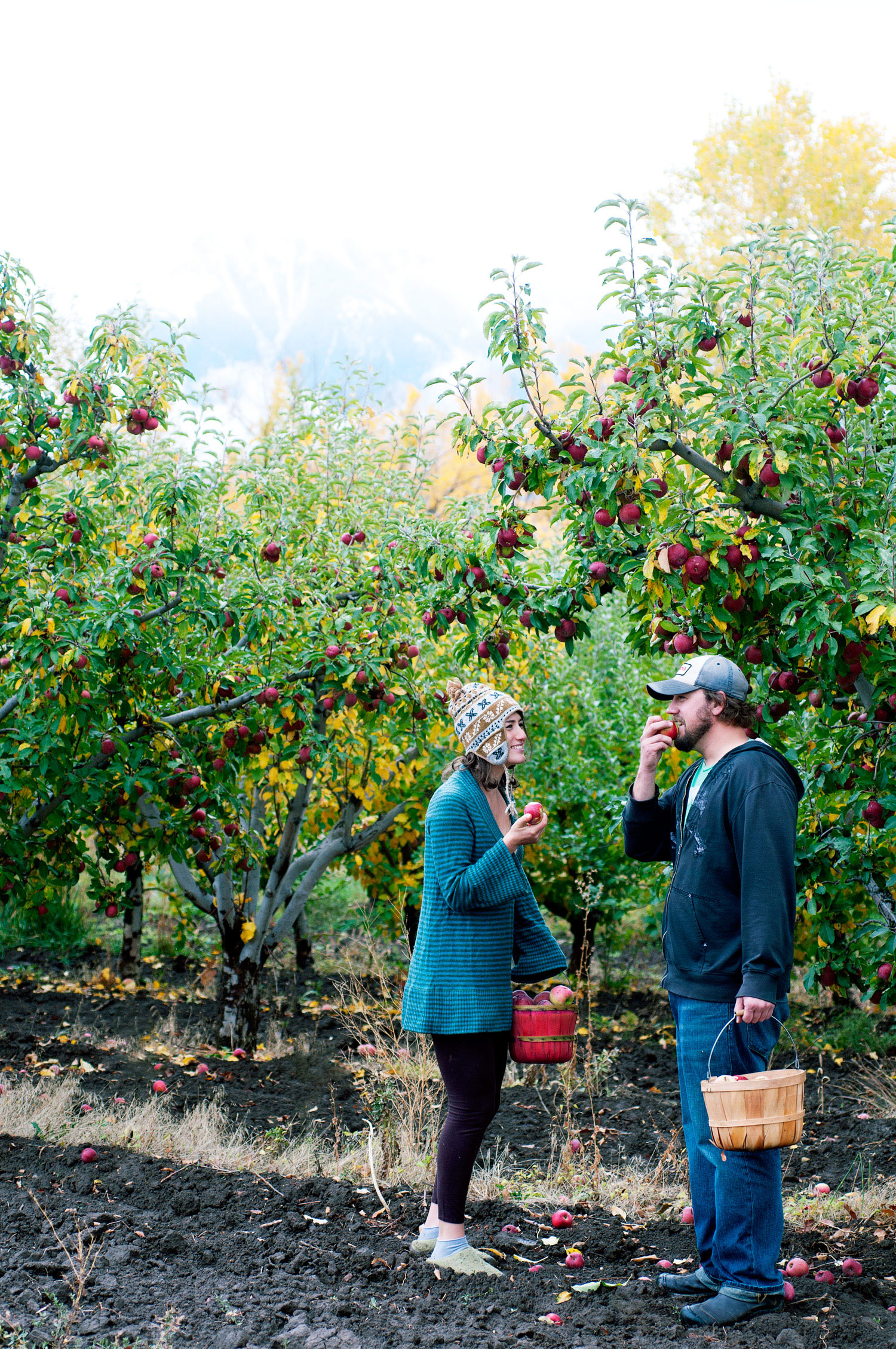 One Perfect Day in Paonia, CO