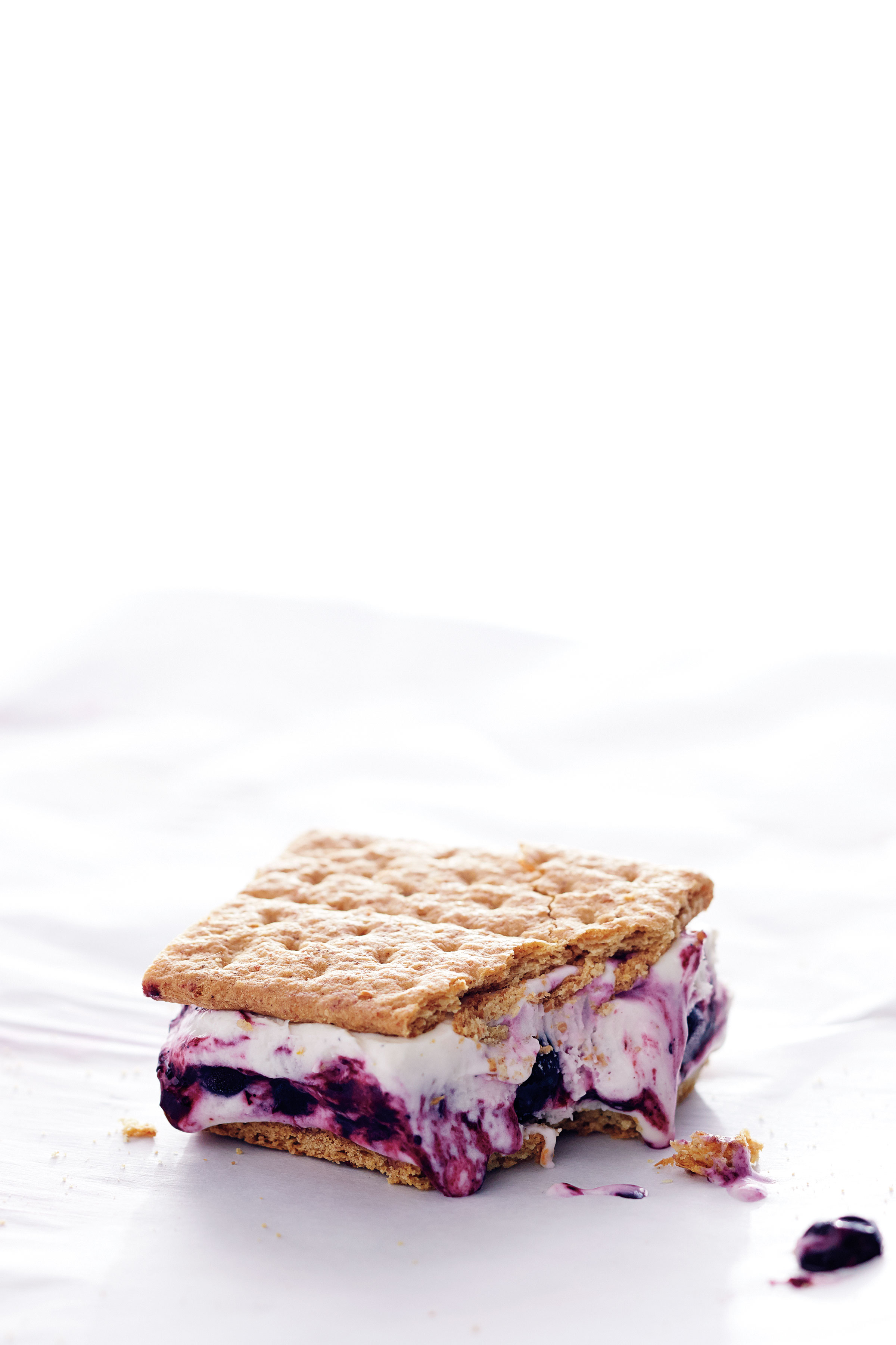 blueberry-cheesecake-frozen-yogurt-sandwiches