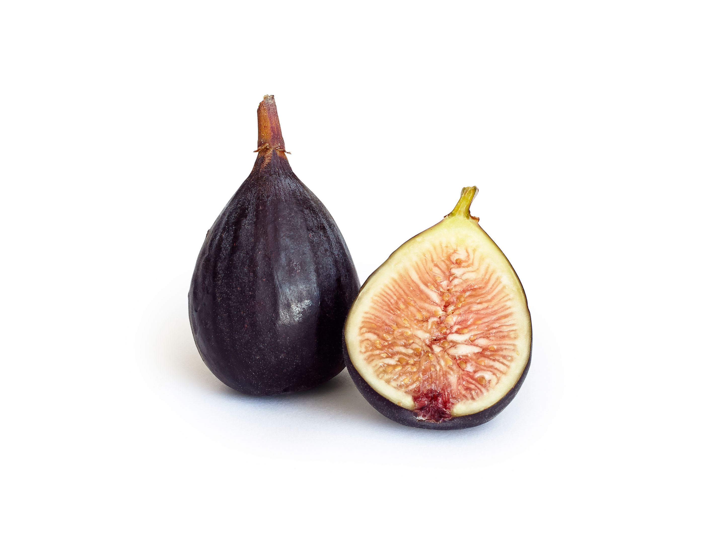 favorite-fig-varieties