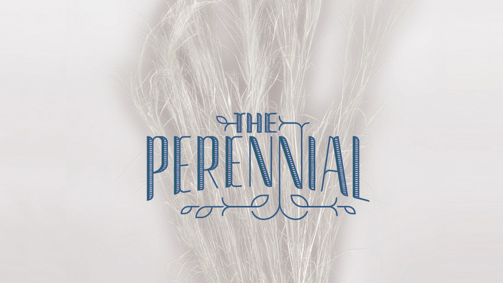 the-perennial
