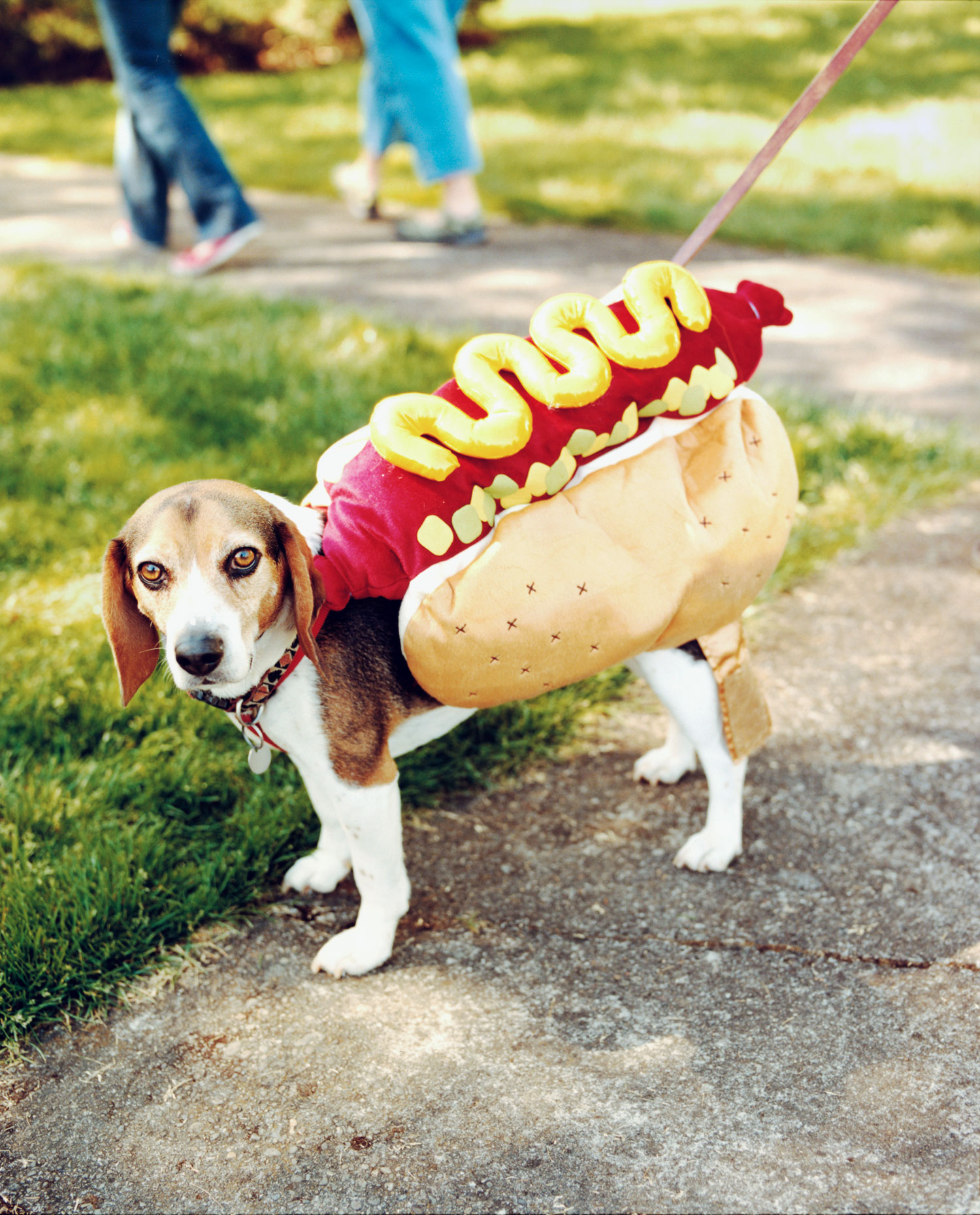 Oregon Day Trip: Silverton