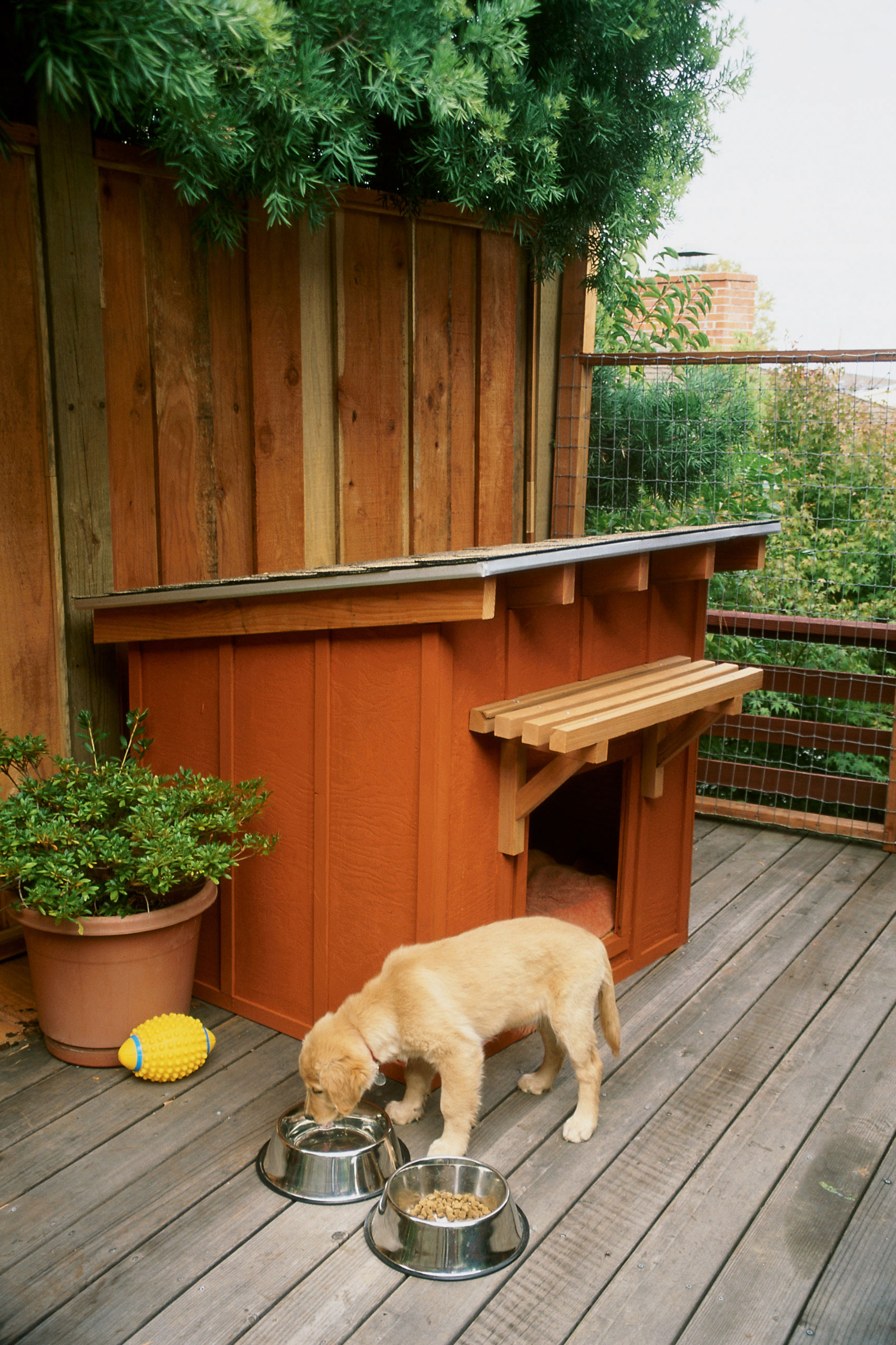 How To Build A Dog House Sunset Magazine