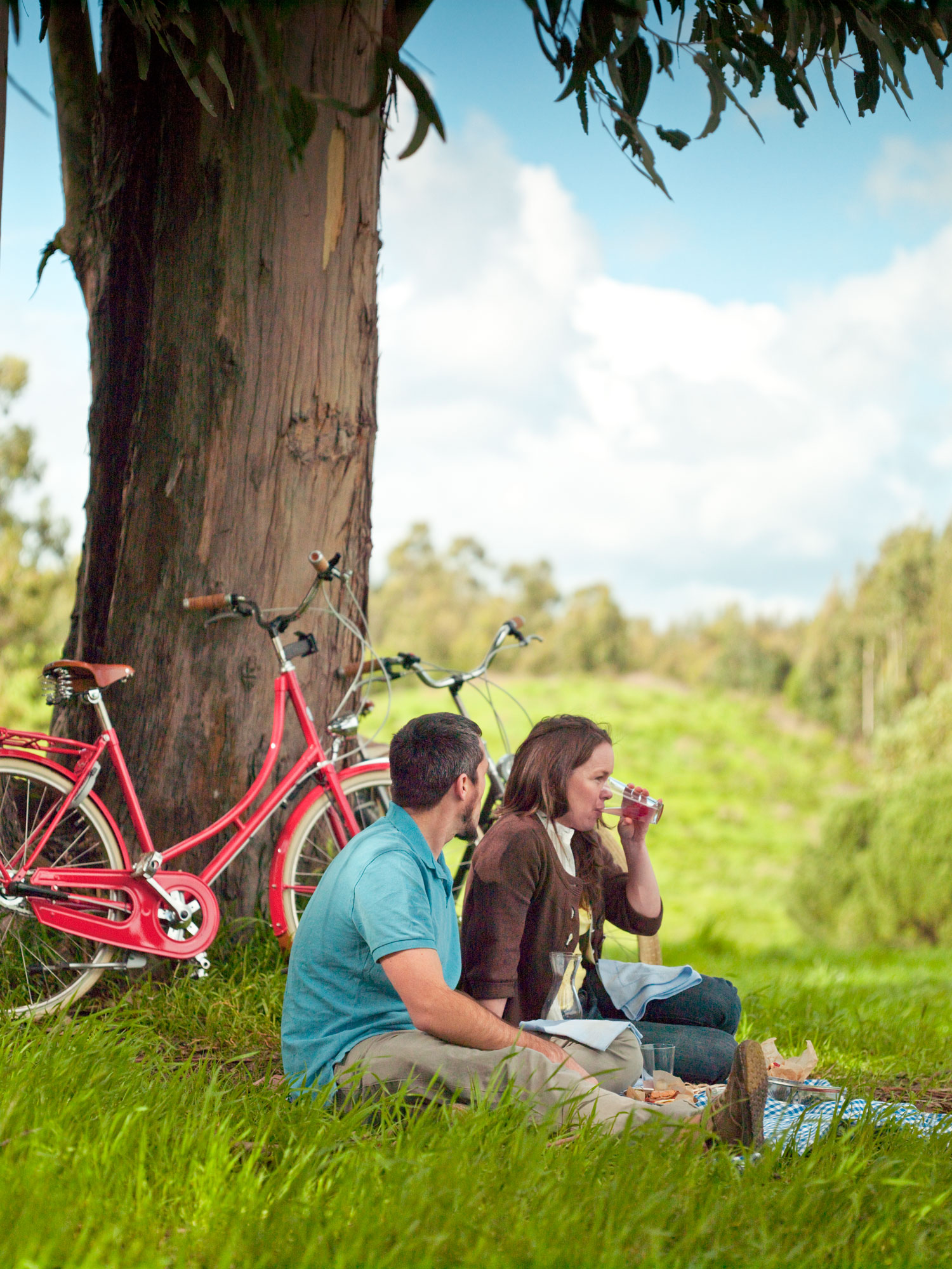 bike-routes-to-killer-picnic-spots