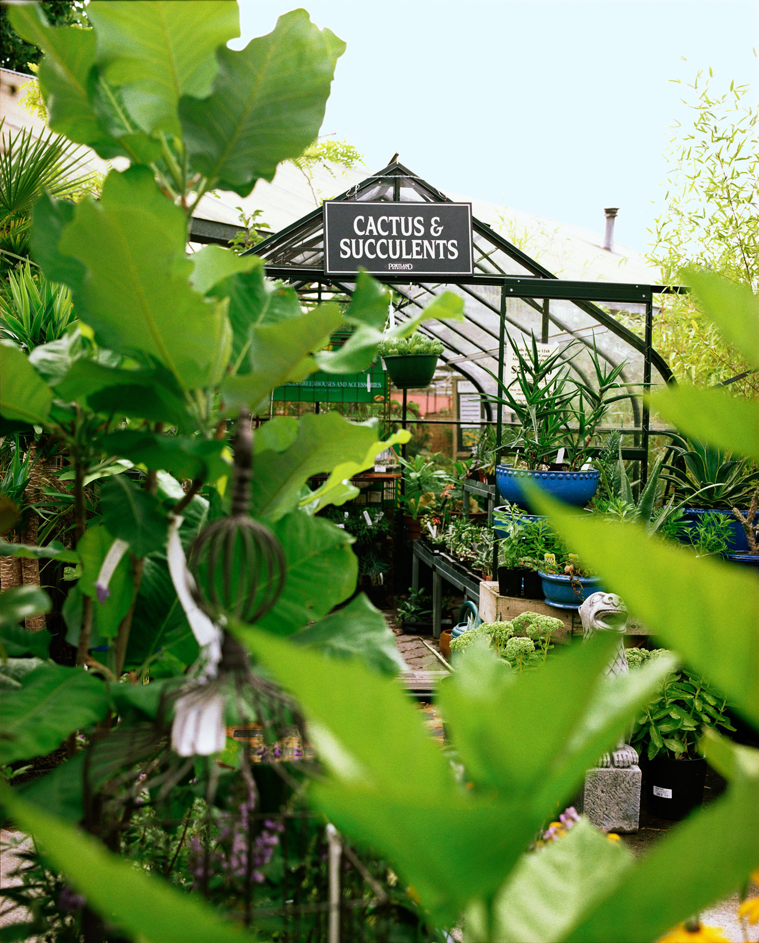 bask-in-farm-fresh-goodies