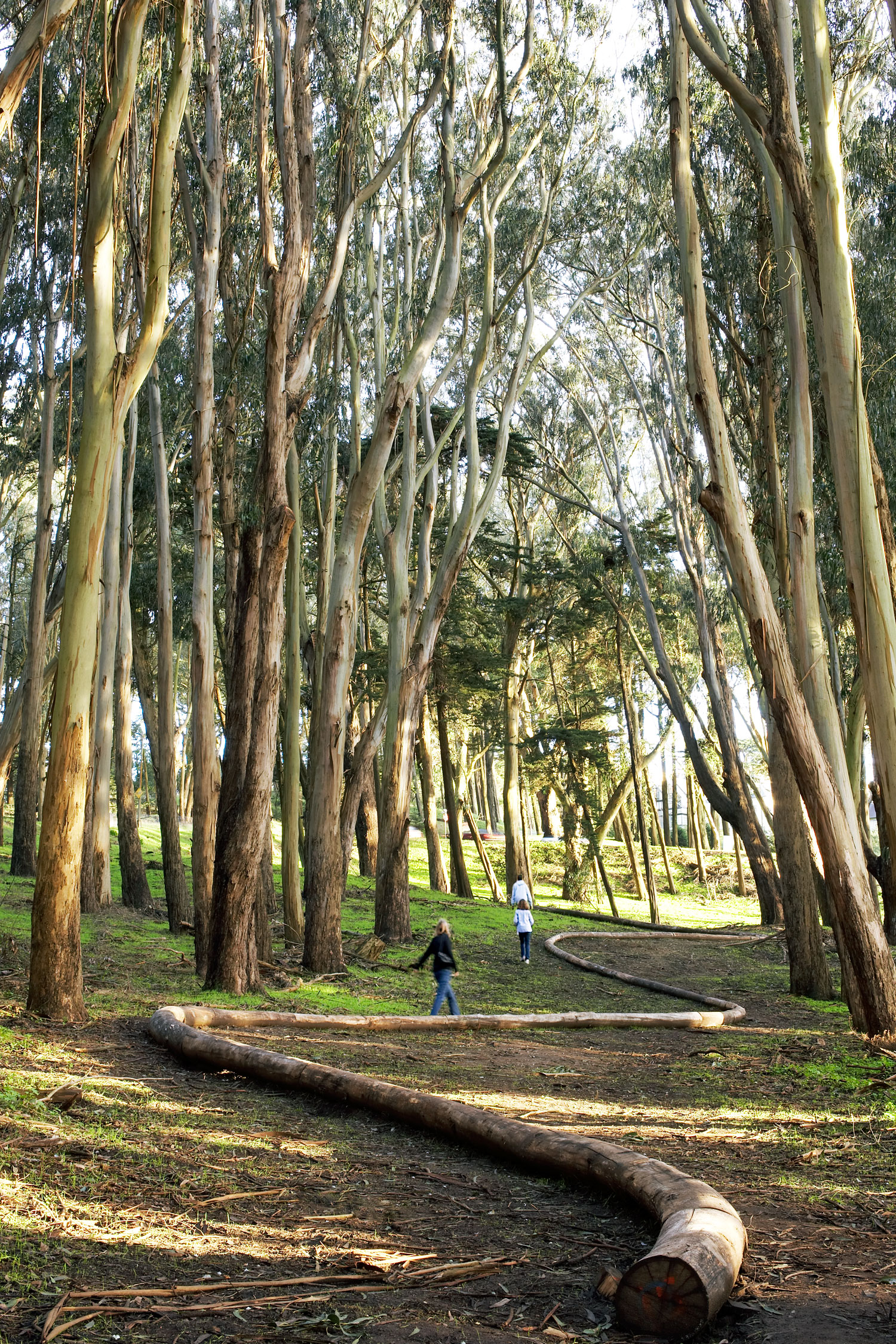 One Perfect Day in San Francisco’s Presidio