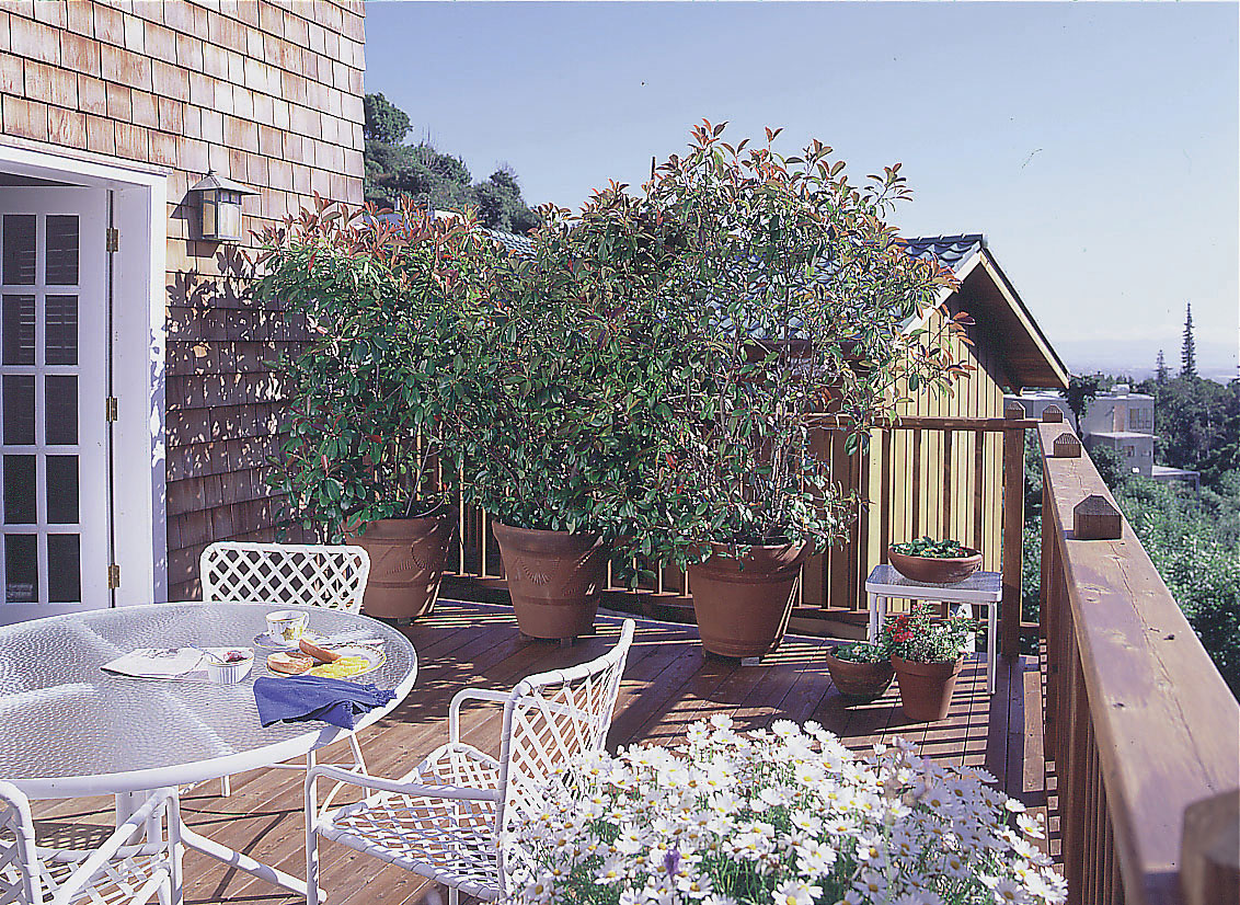 Privacy, with Plants