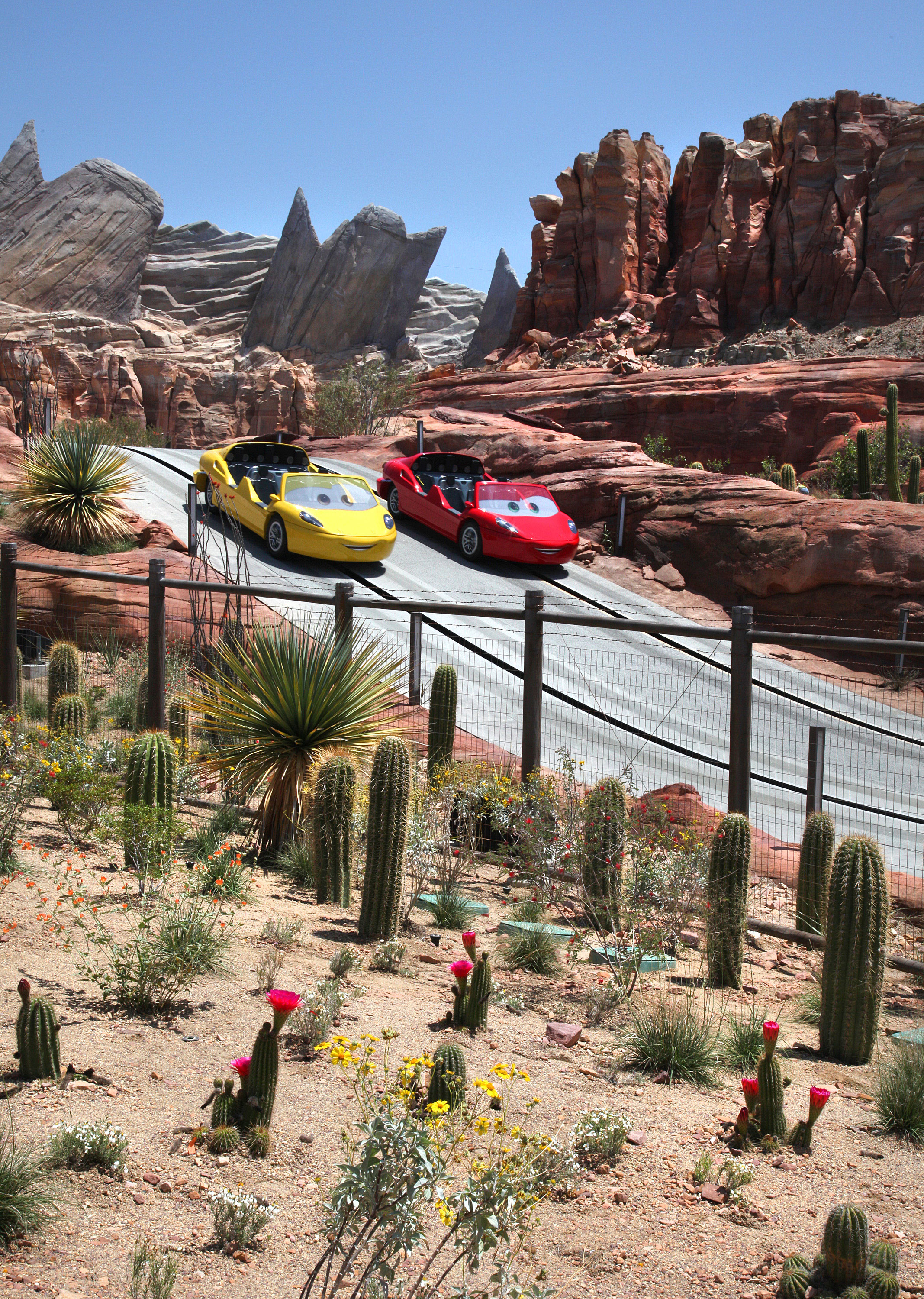 radiator-springs-racers