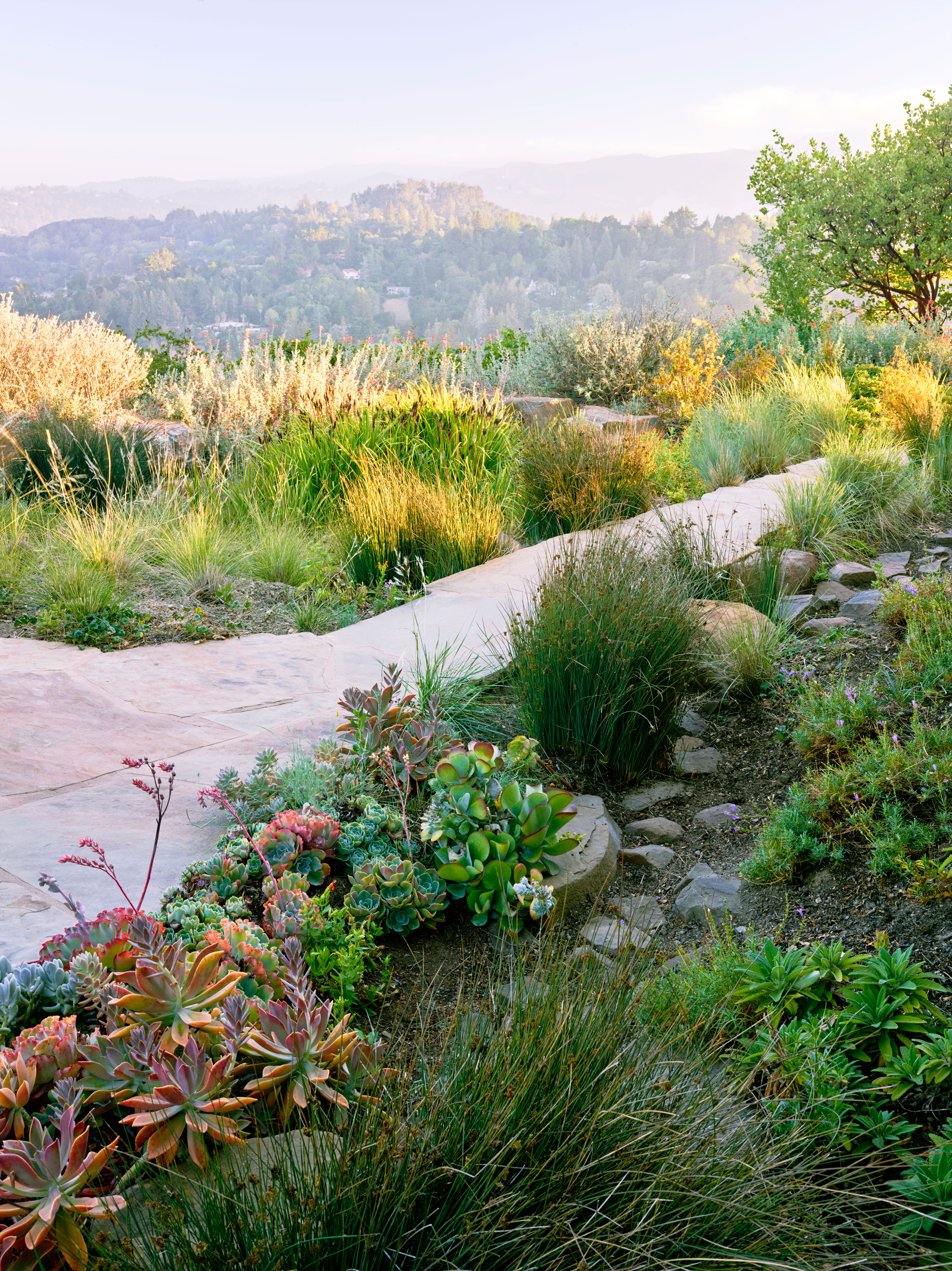 10 Ways to Fight Global Warming in the Garden