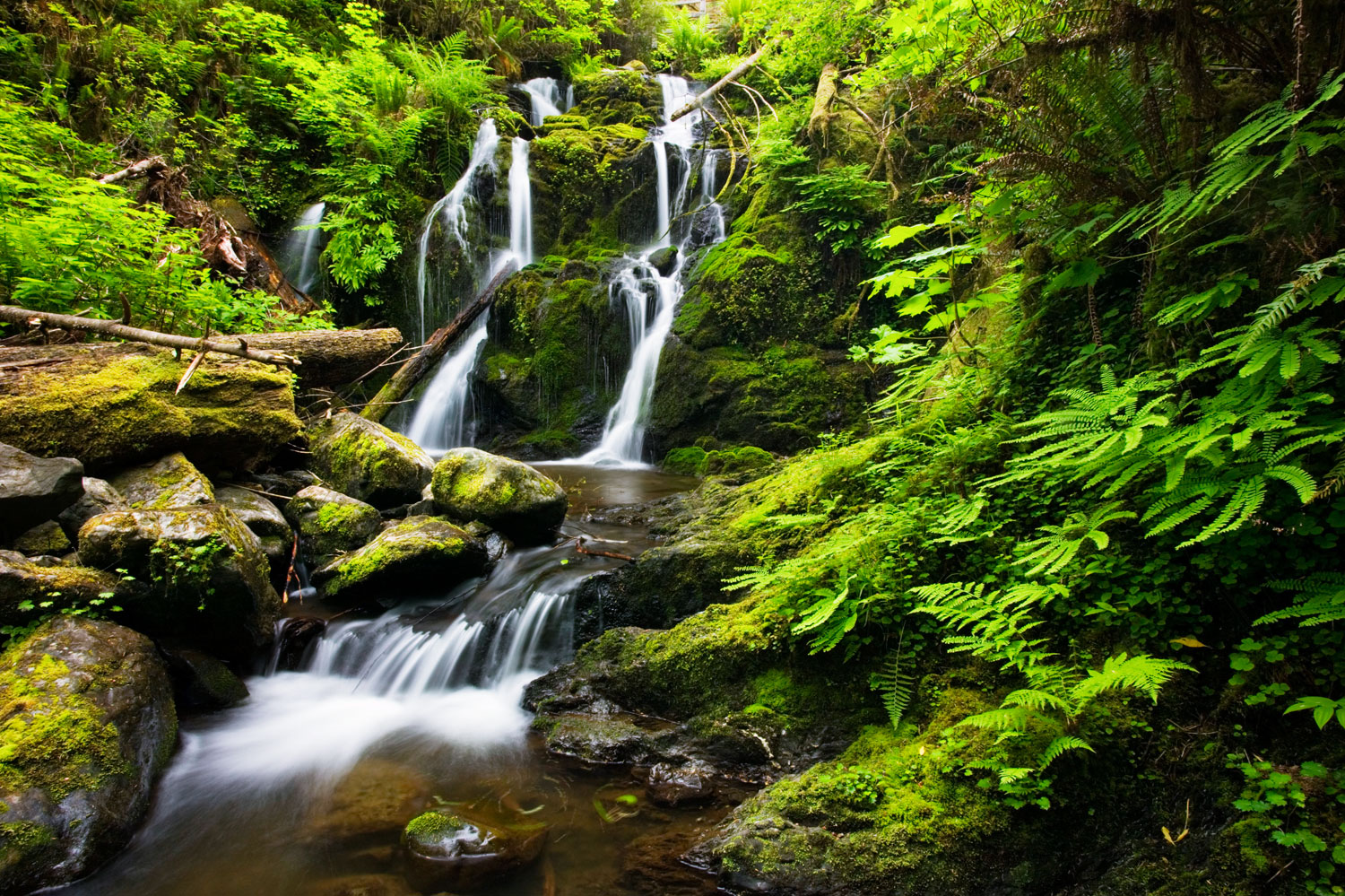 In the Mood for an Offbeat Adventure