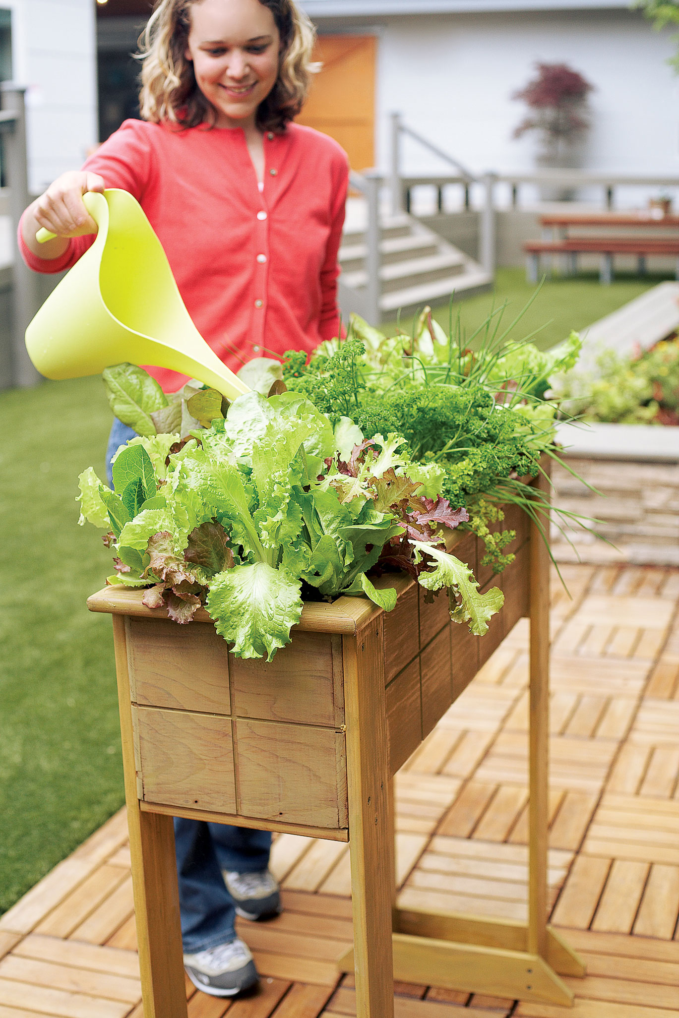 Small-Space Salad Box