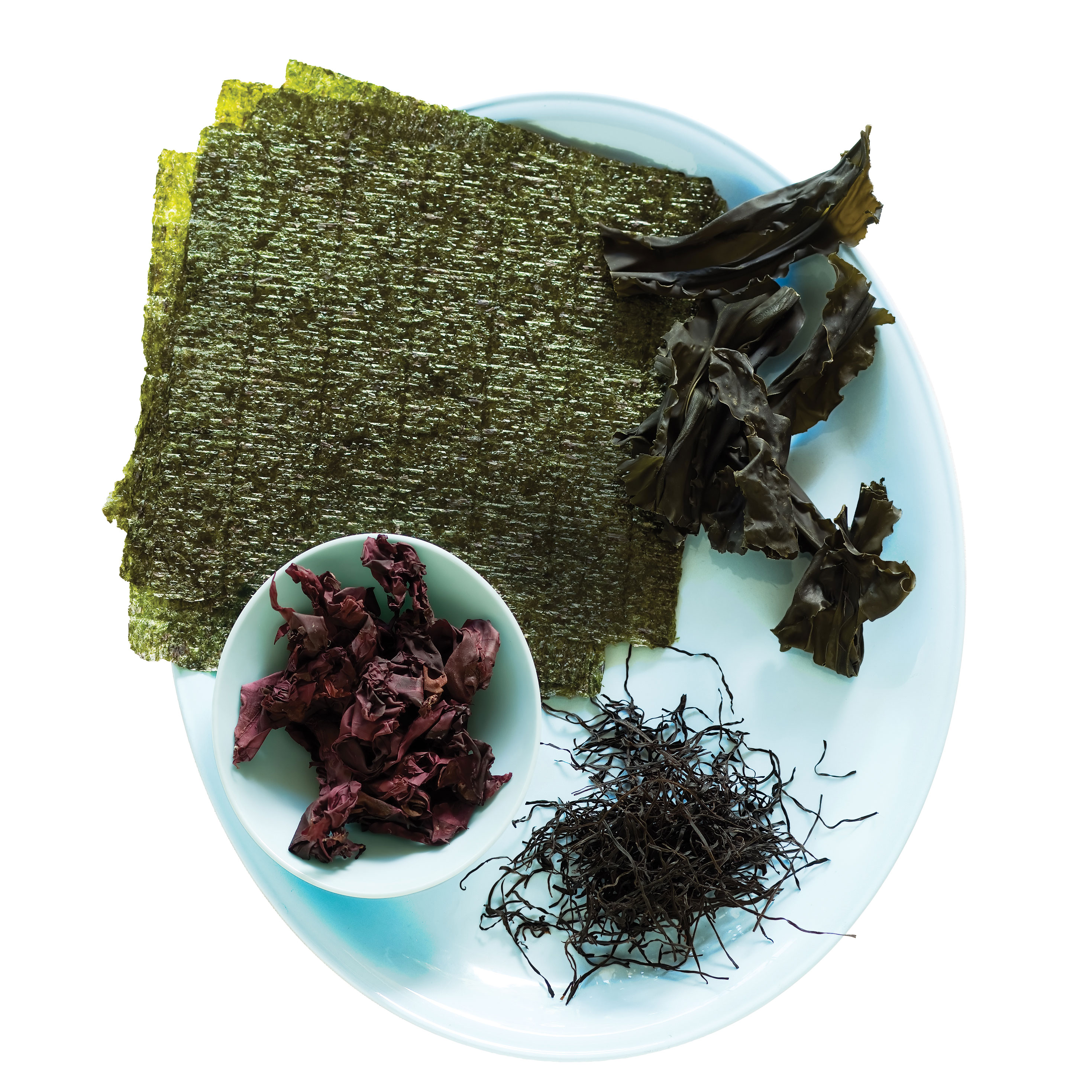 Spotlight on Seaweed